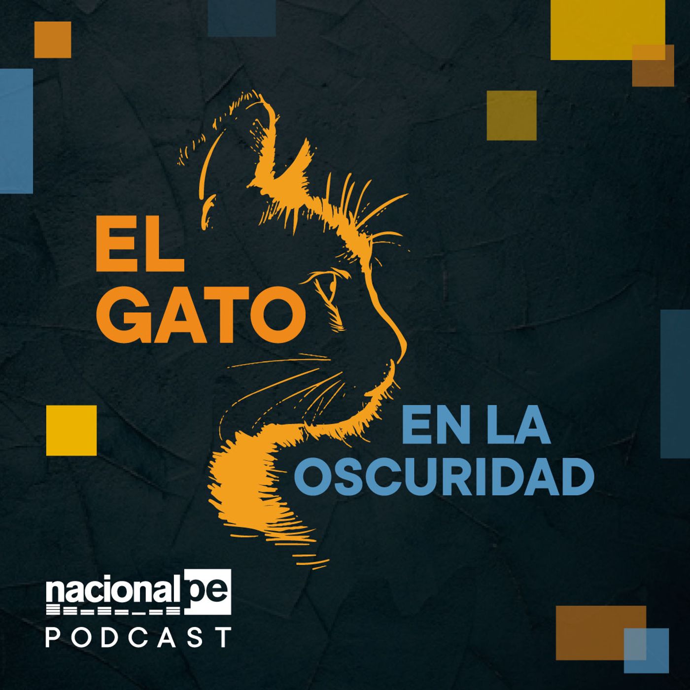 El gato en la oscuridad