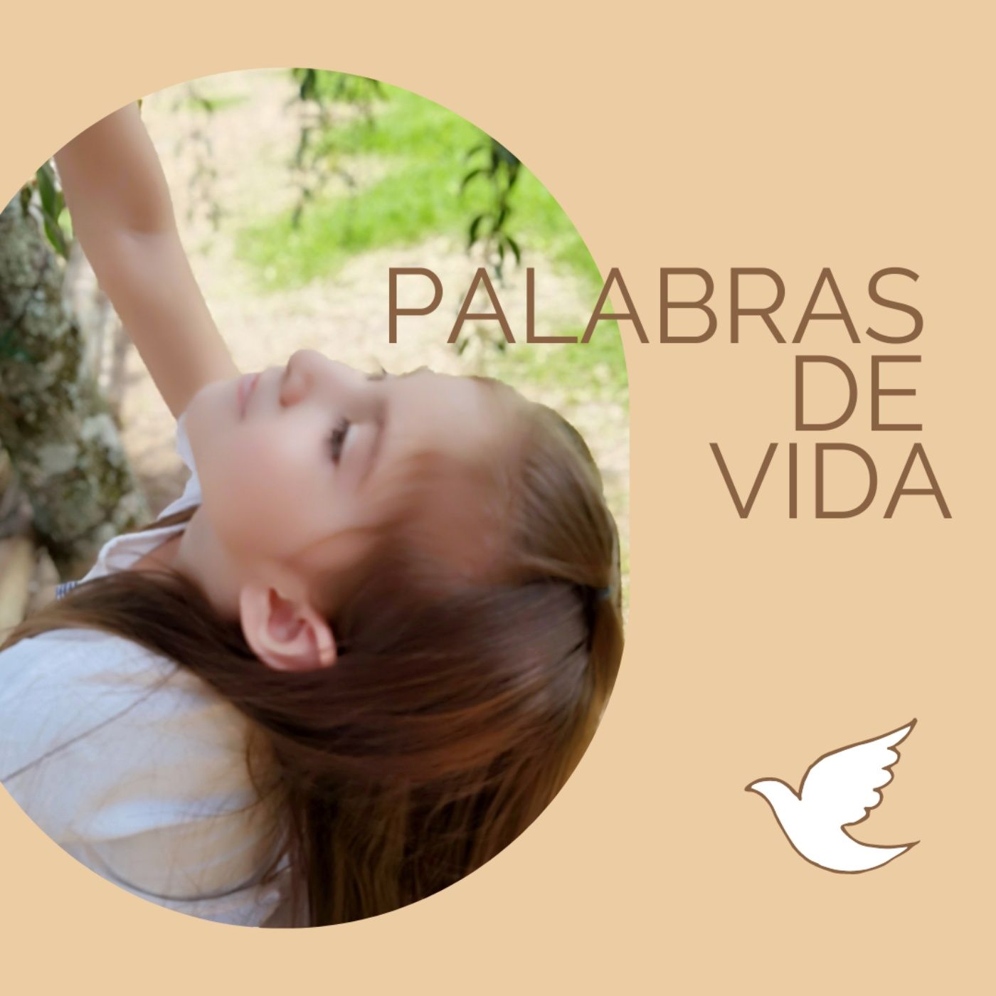 LA BIBLIA NBLA