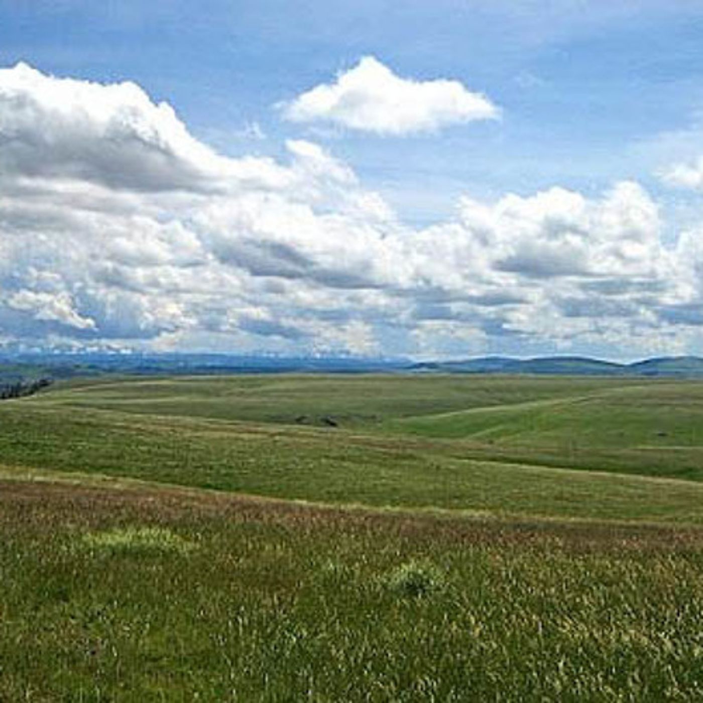 Zumwalt Prairie: Oregon's Newest  Natural Landmark episode artwork