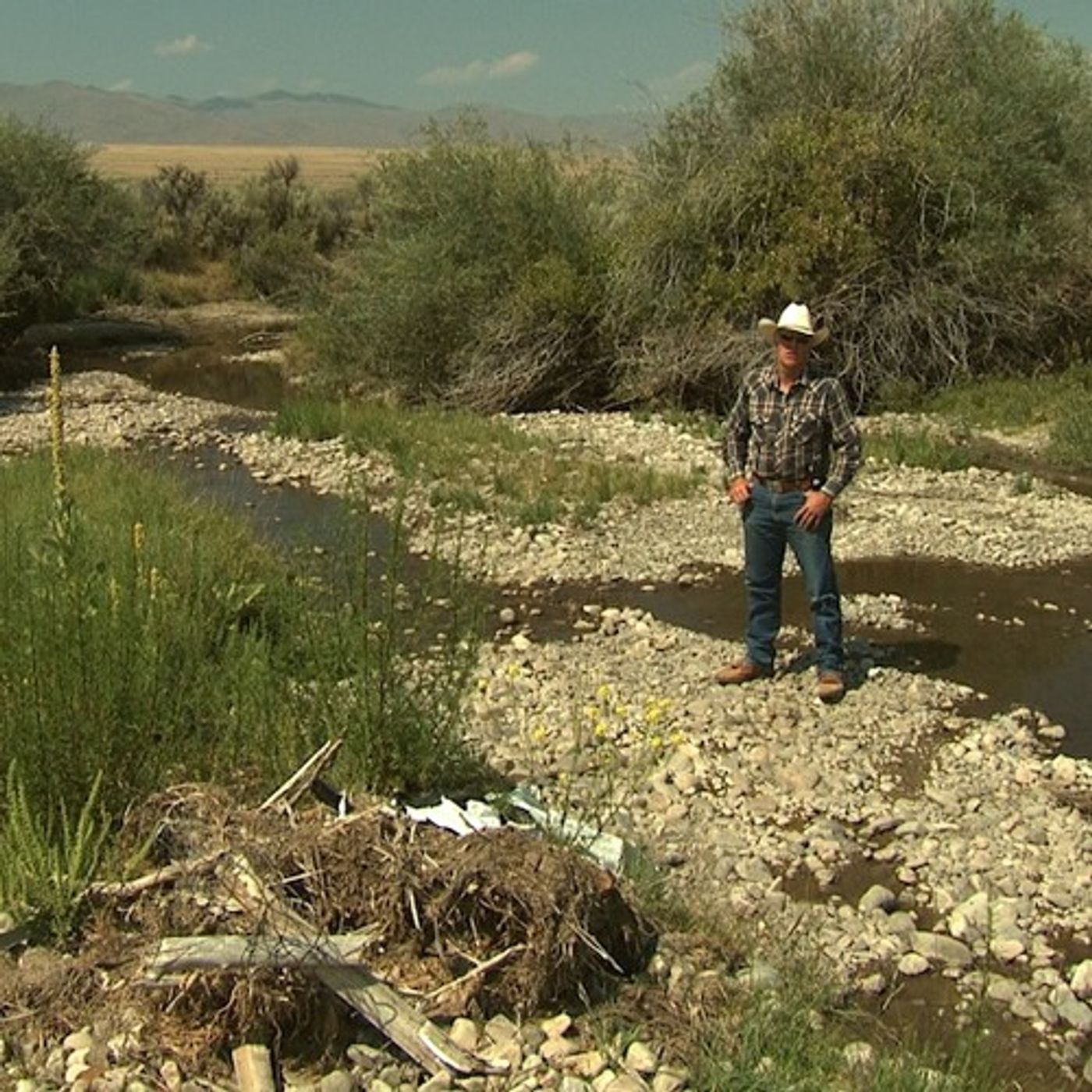 How Drawing Down Rivers Can Impair Water Quality episode artwork