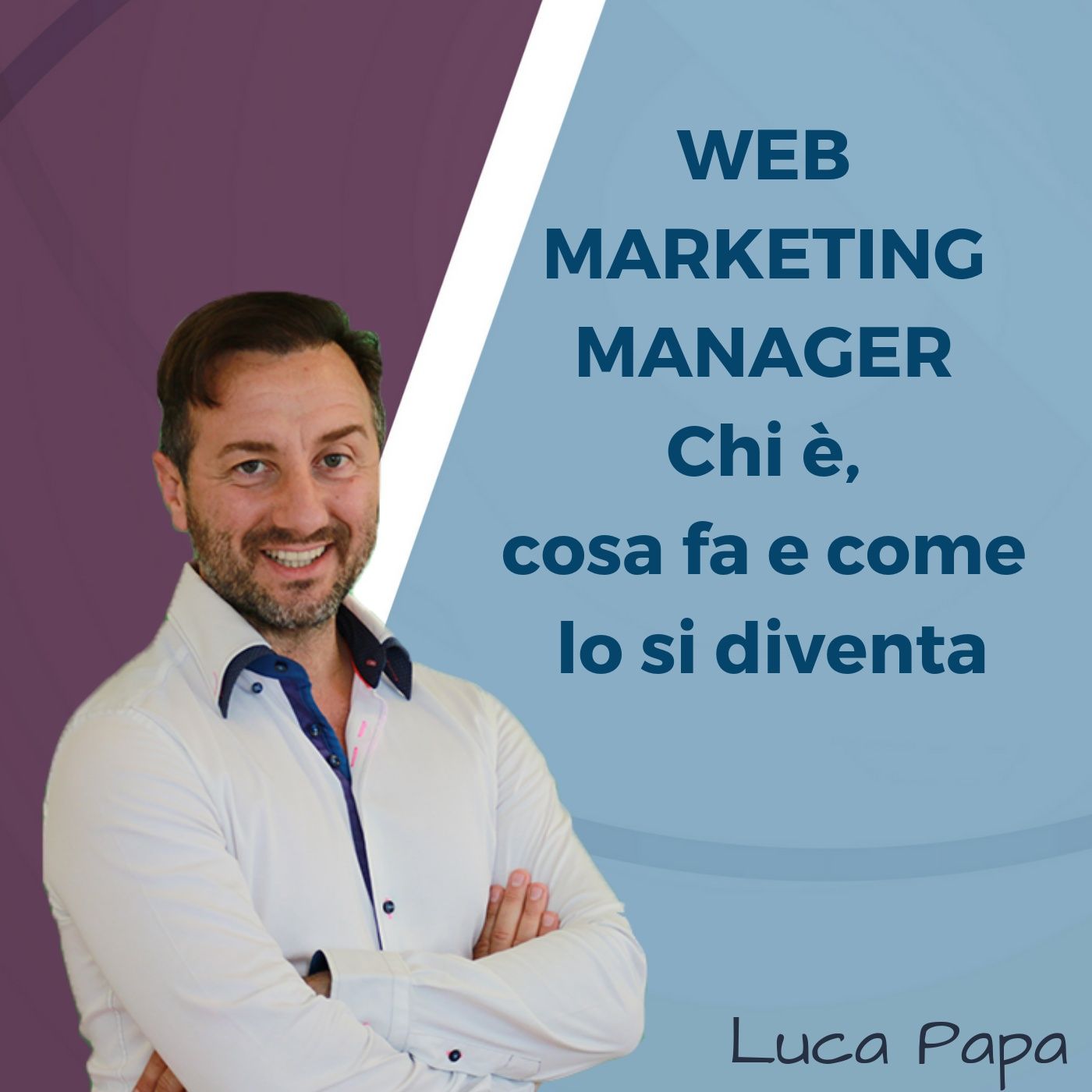 WEB MARKETING MANAGER: Chi è, cosa fa e come lo si diventa