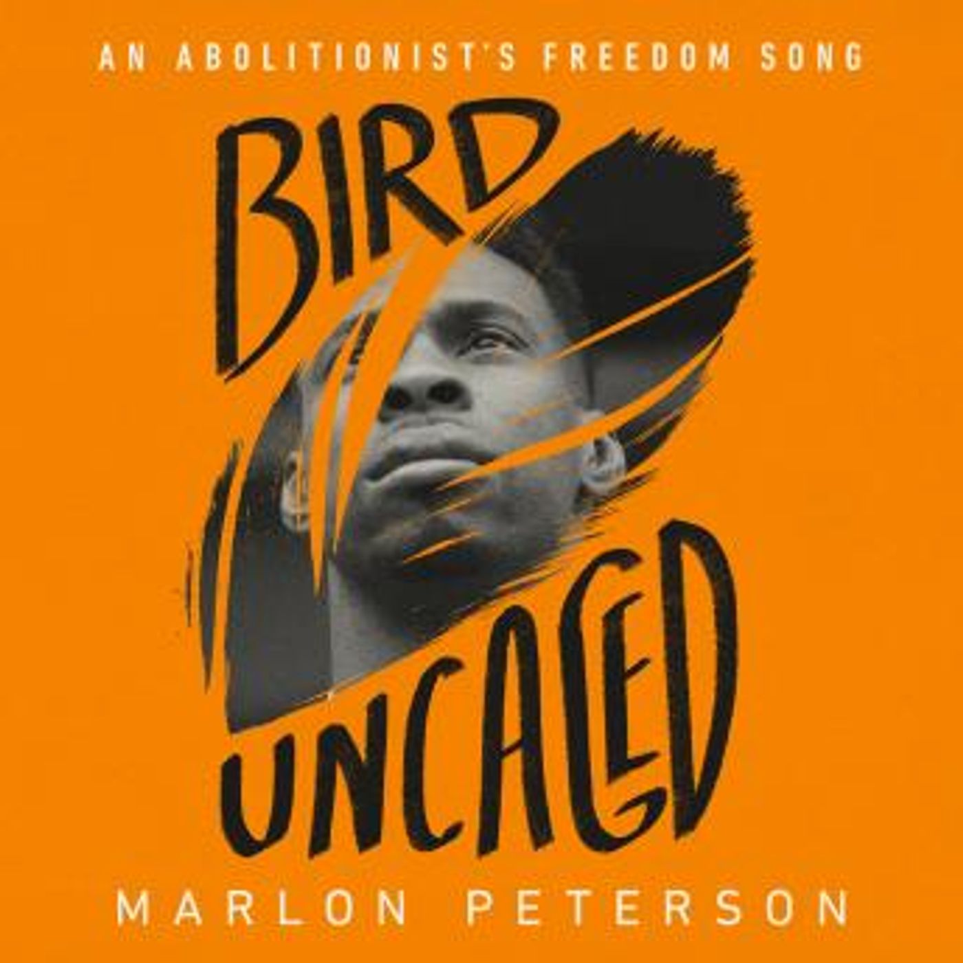 Download Top Free Audiobooks in Biography & Memoir, History & Culture