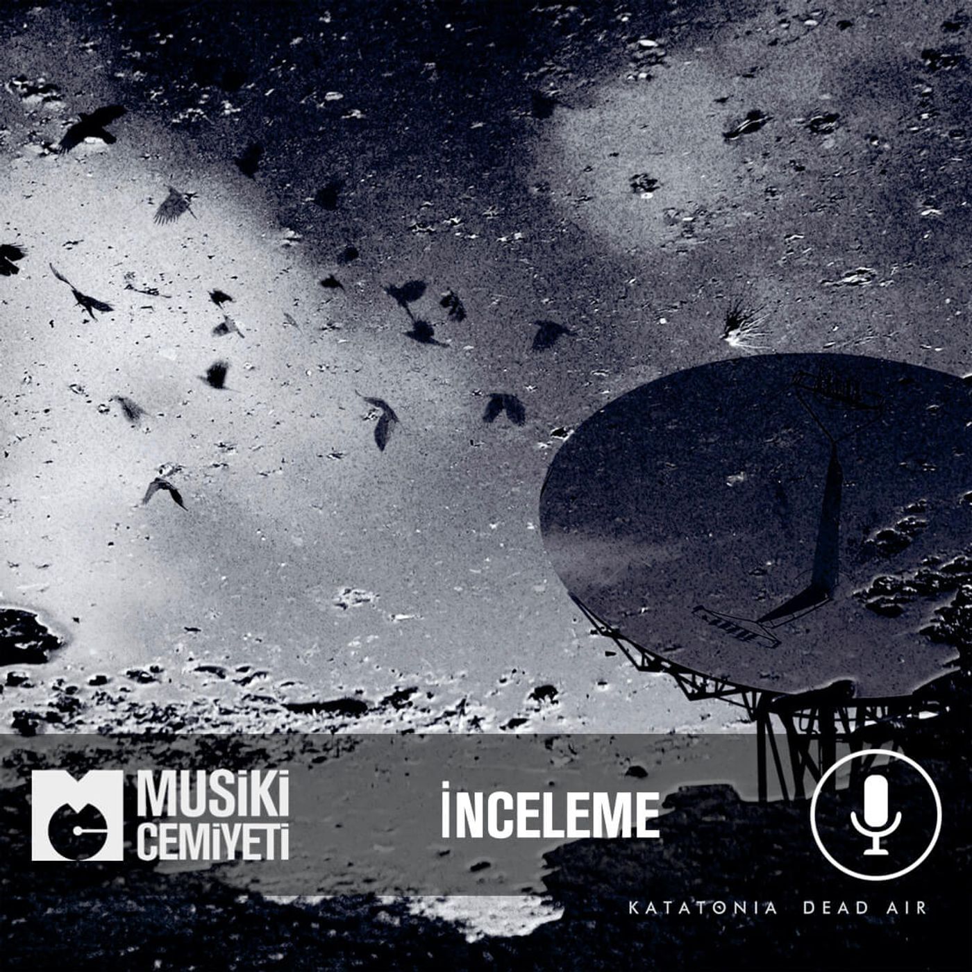 Musiki Cemiyeti