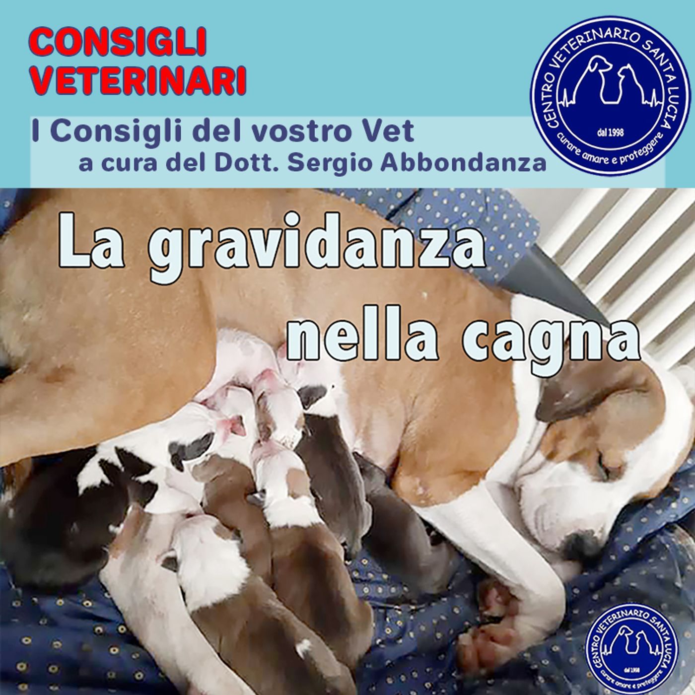 Consigli Veterinari