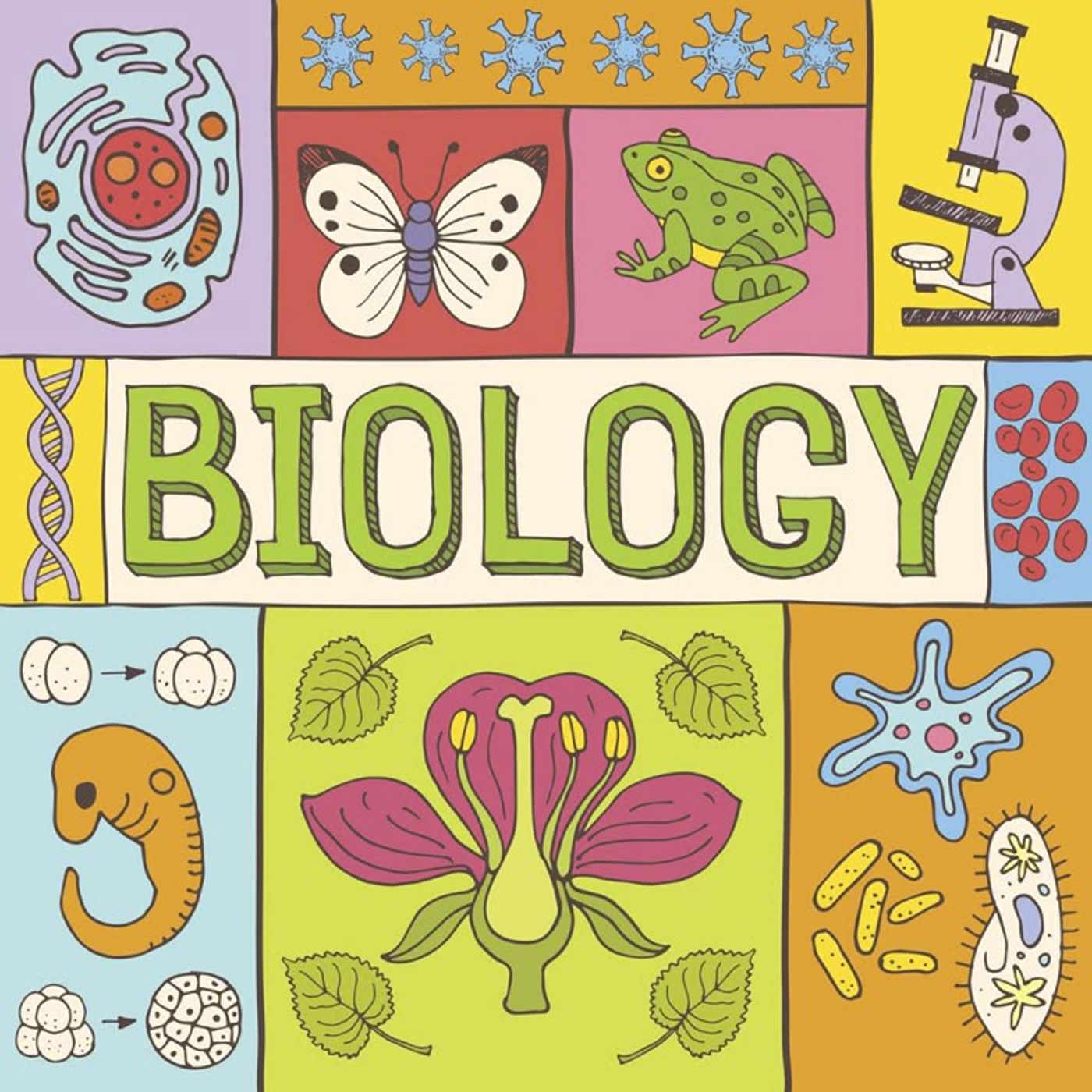 Biología en 2 minutos