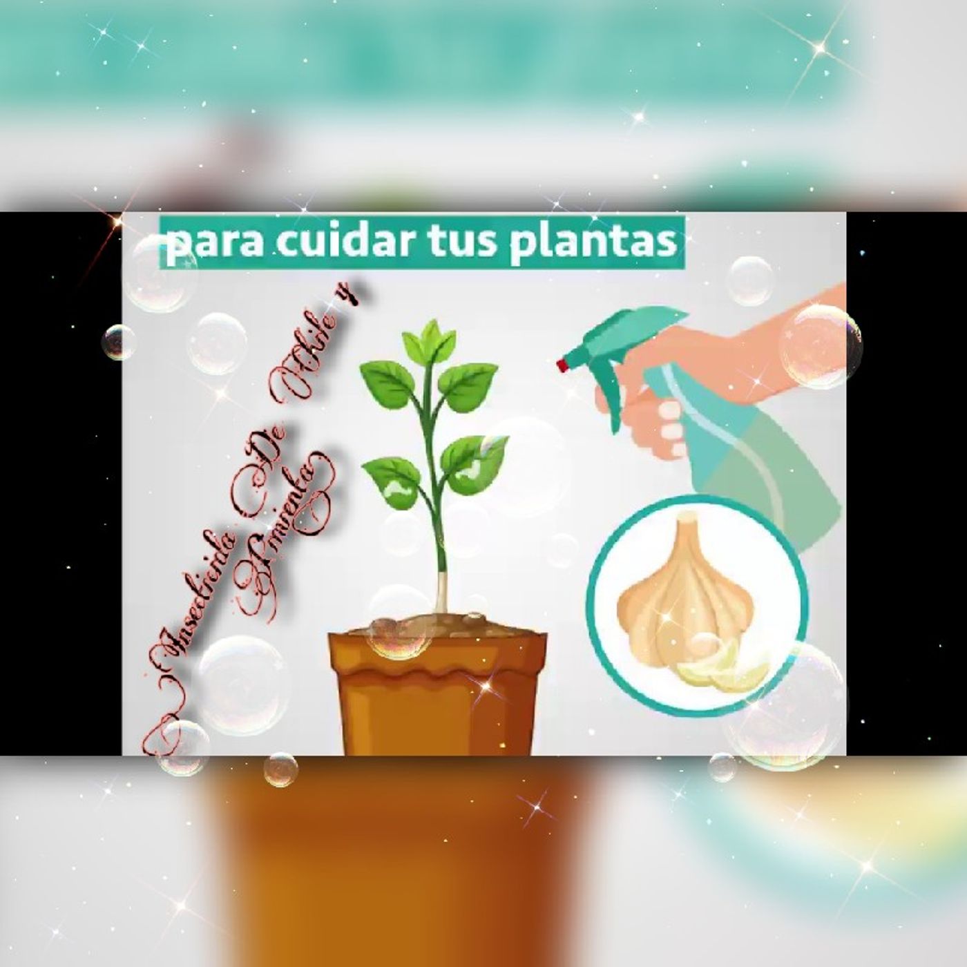 Noti del día insecticida Orgánico episode artwork