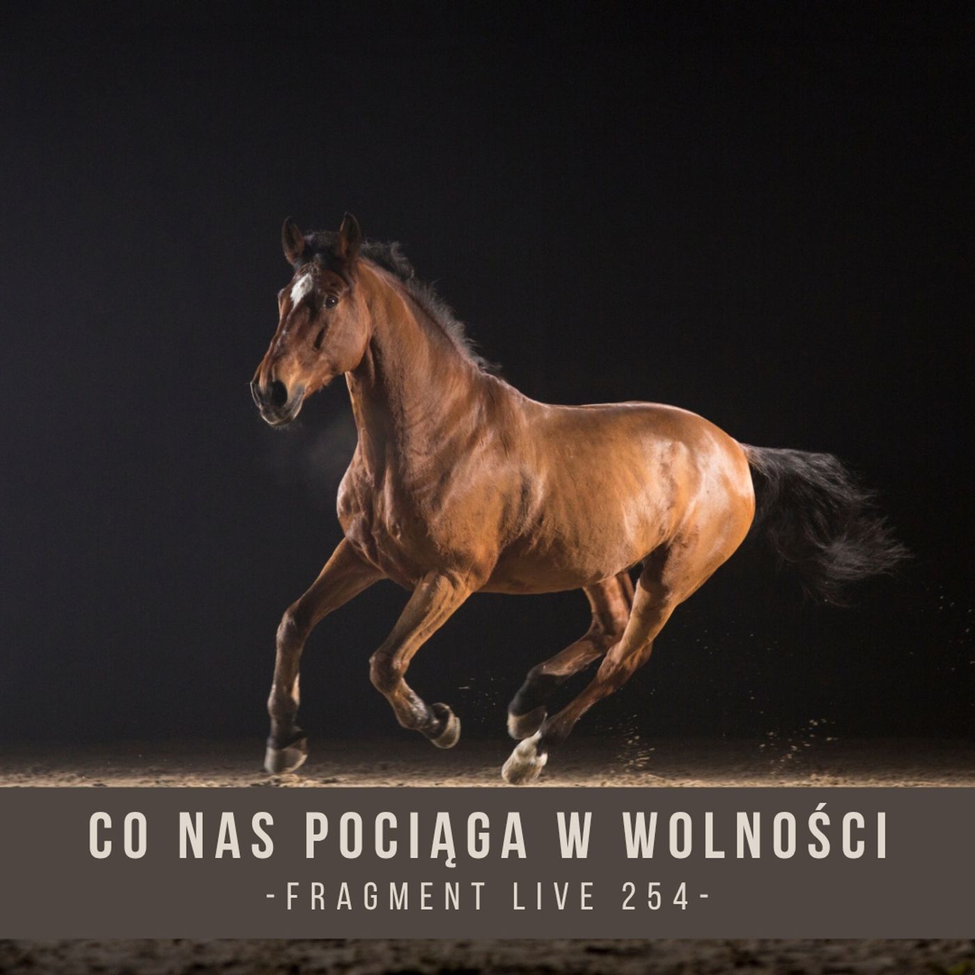Co nas pociąga w wolności - fragment live 225