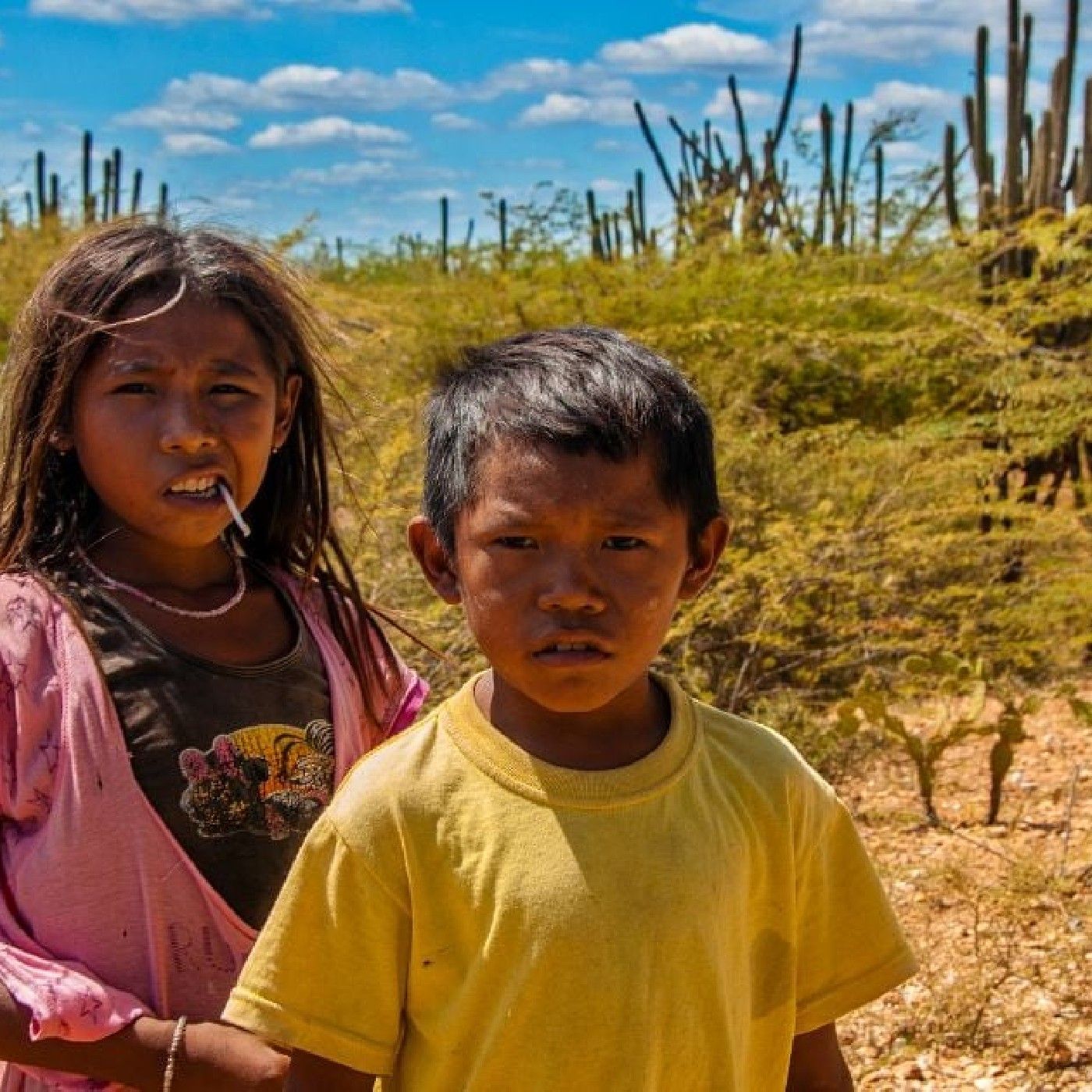 Poverty in the Guajira episode artwork