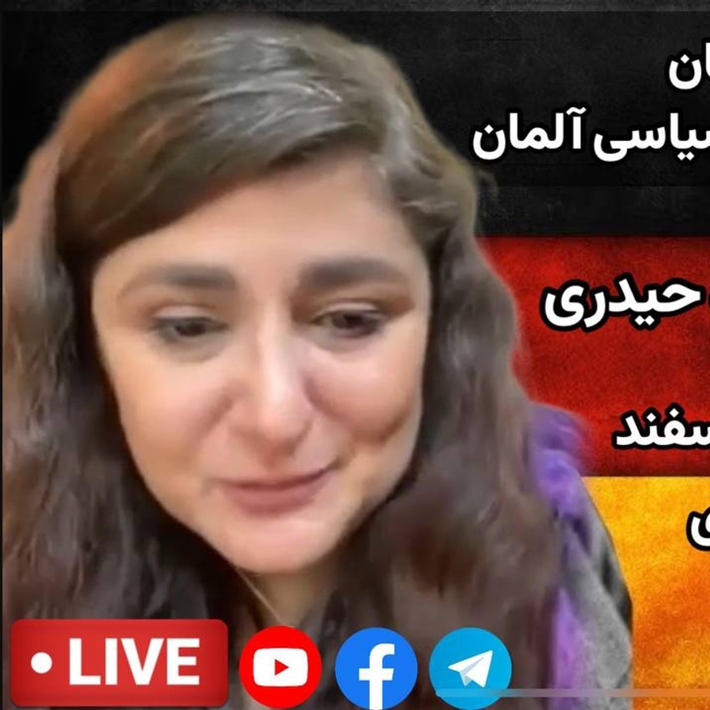 موقعیت نیروهای چپ آلمان در شرایط بحرانی سیستم سیاسی آلمان | گفت‌وگو با پژاره حیدری