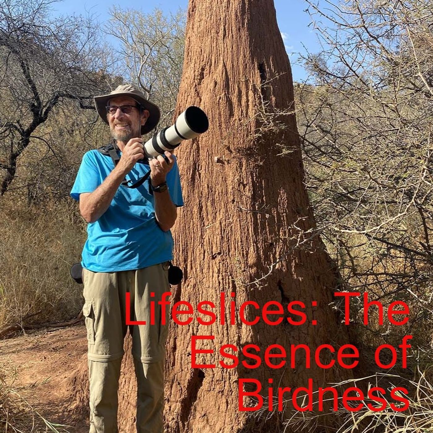 Lifeslices: The Essence of Birdness episode artwork
