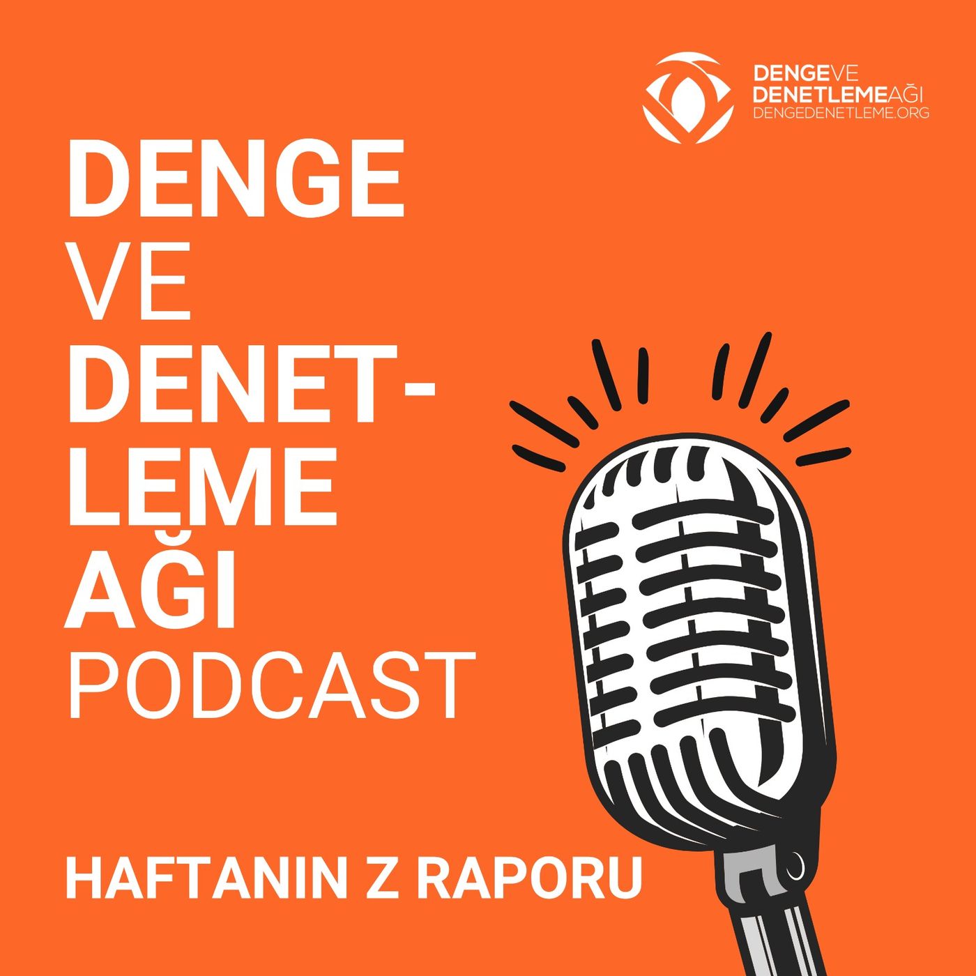 Denge ve Denetleme Ağı