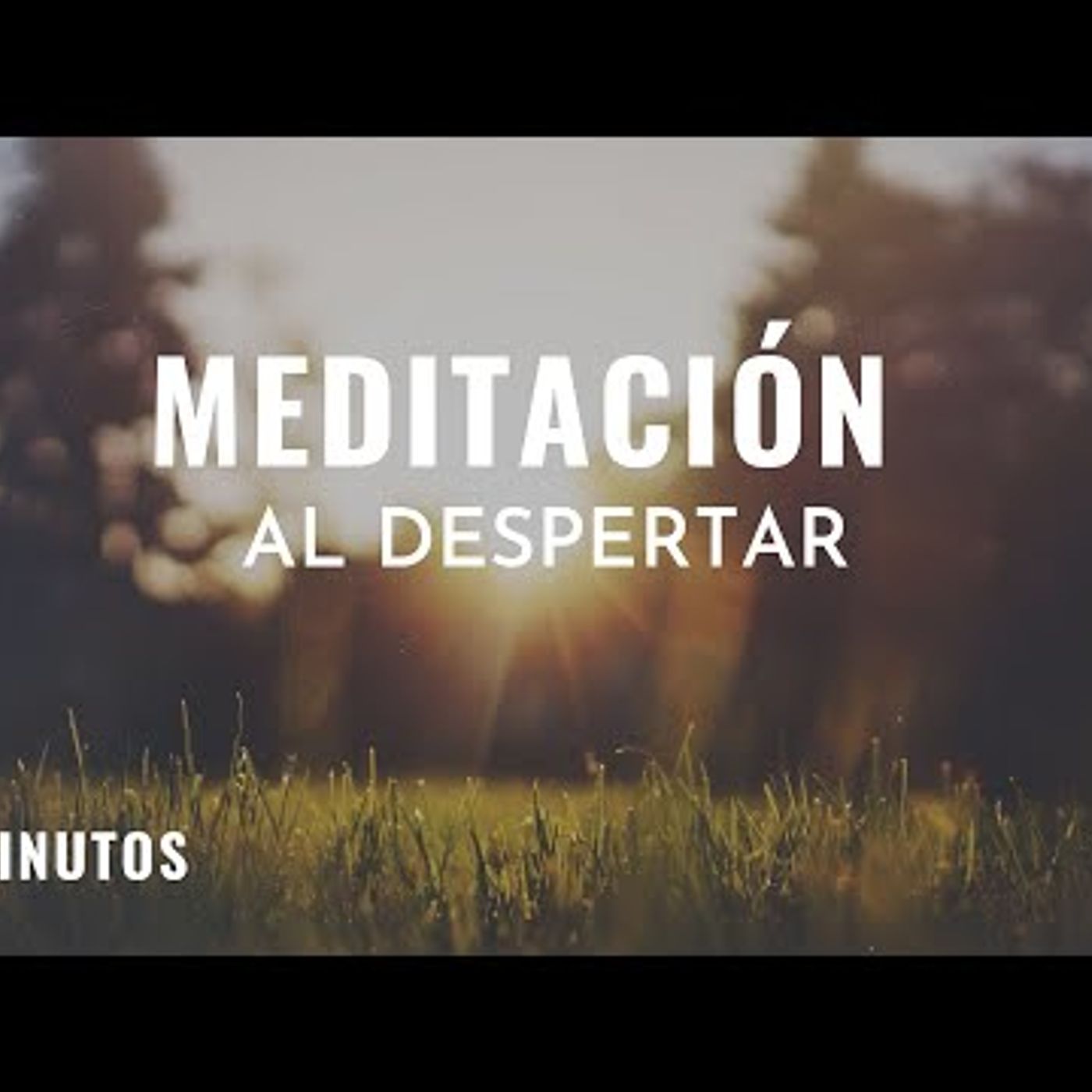 11. Meditación por la mañana 🌺 5 minutos de meditación al despertar