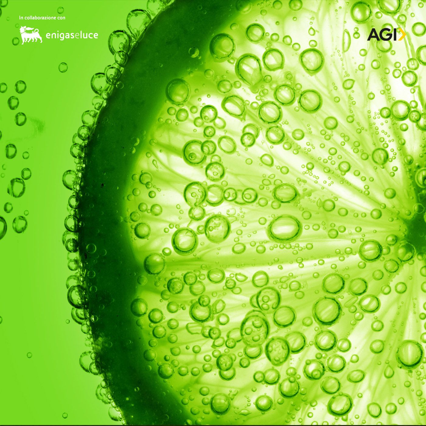 Vitamina E – in collaborazione con Eni gas e luce