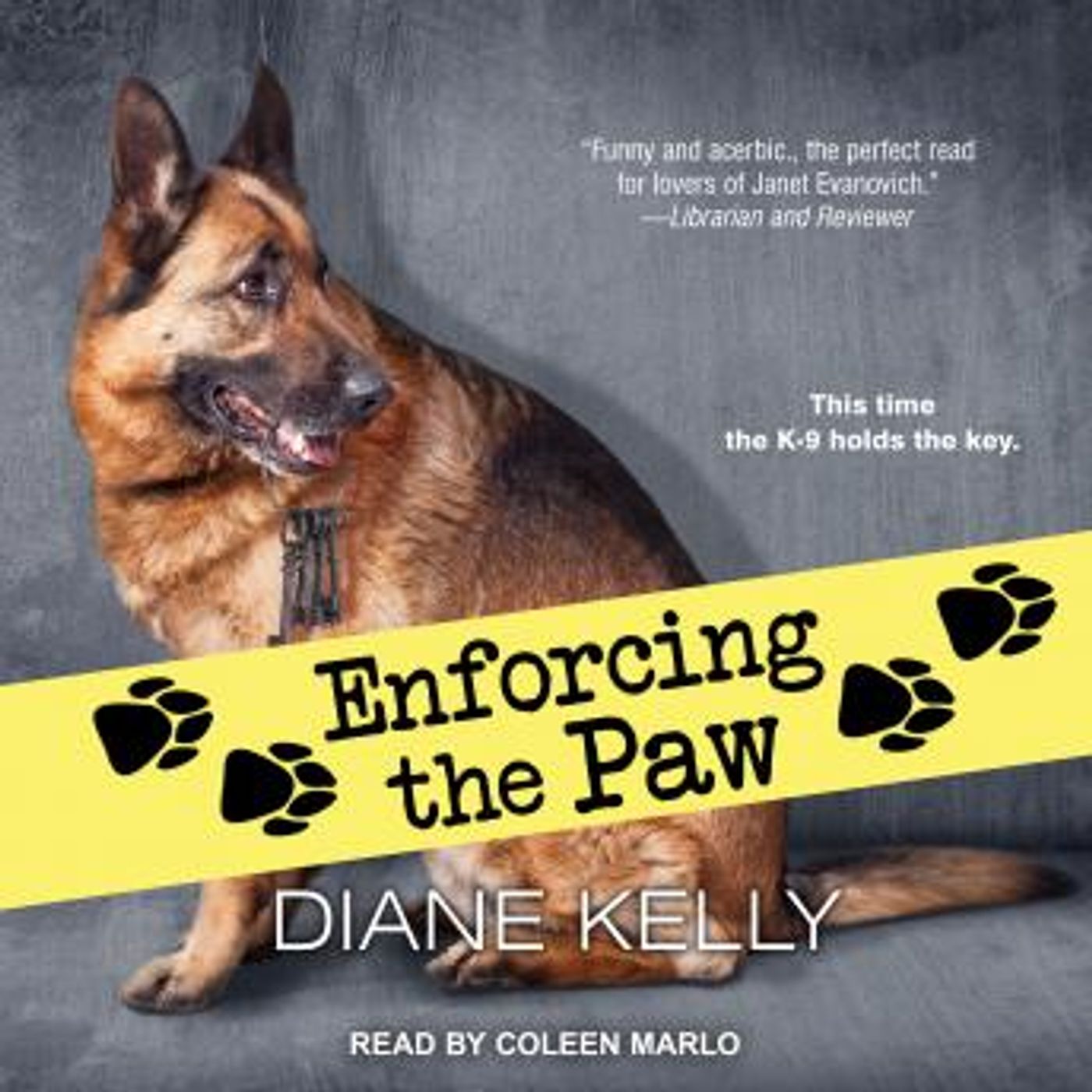 Full Audiobooks in Mystery, Thriller & Horror, Police & Detective