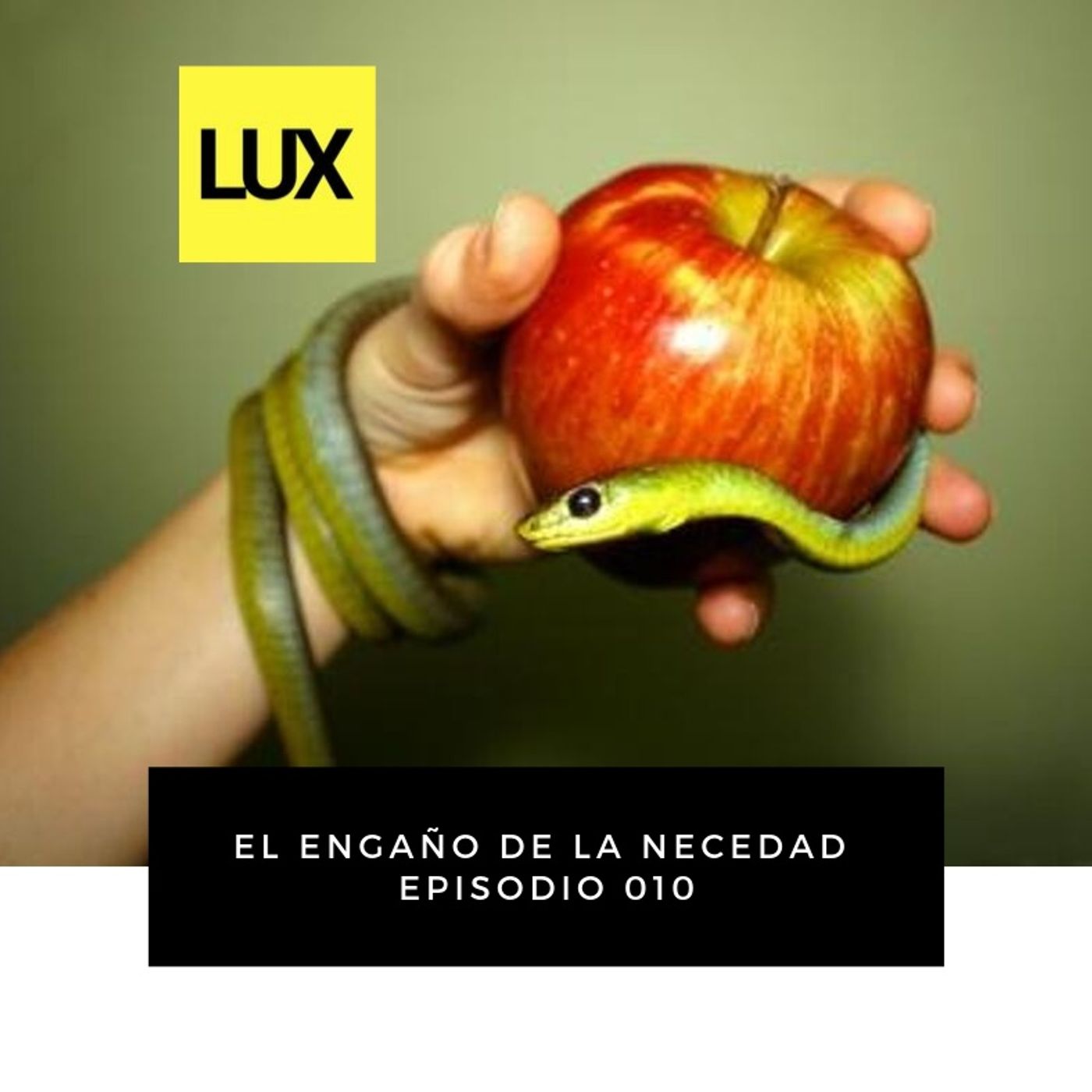 El engaño | 010