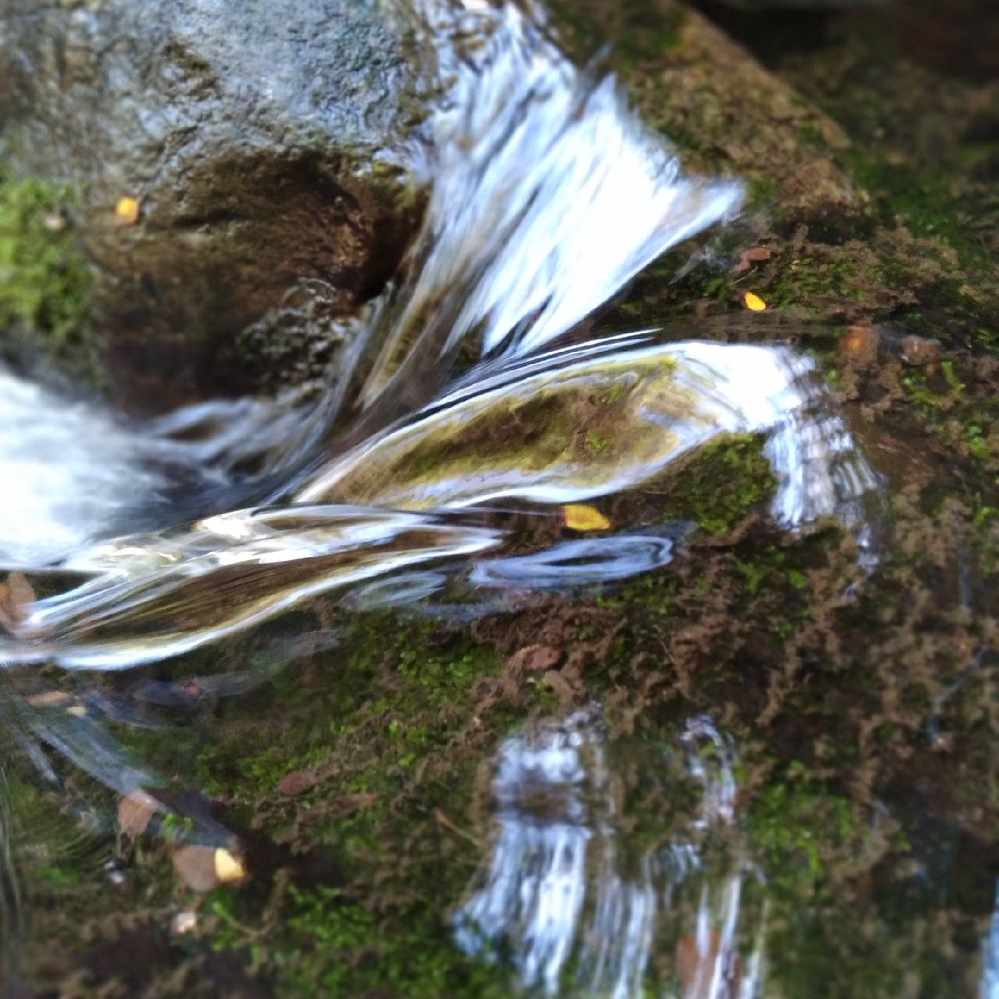 La Violencia D- Enunciada cover art