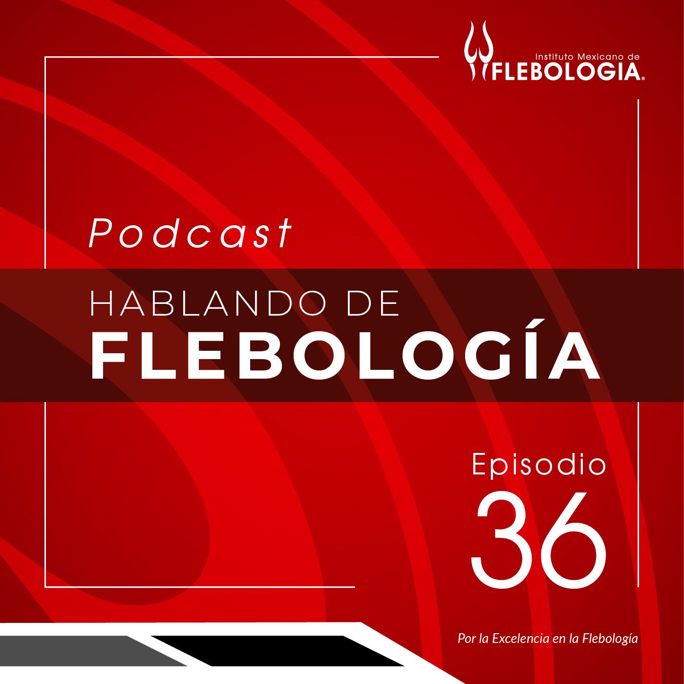 Hablando de Flebología