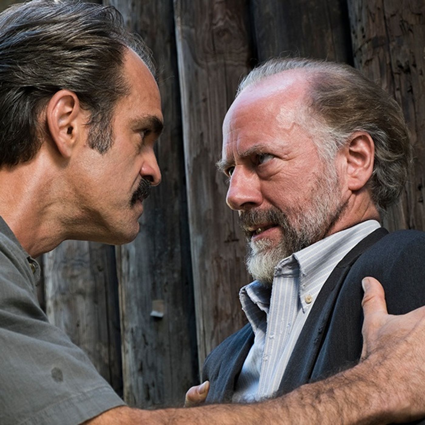The Walking Dead S07E14 "The Other Side" episode artwork
