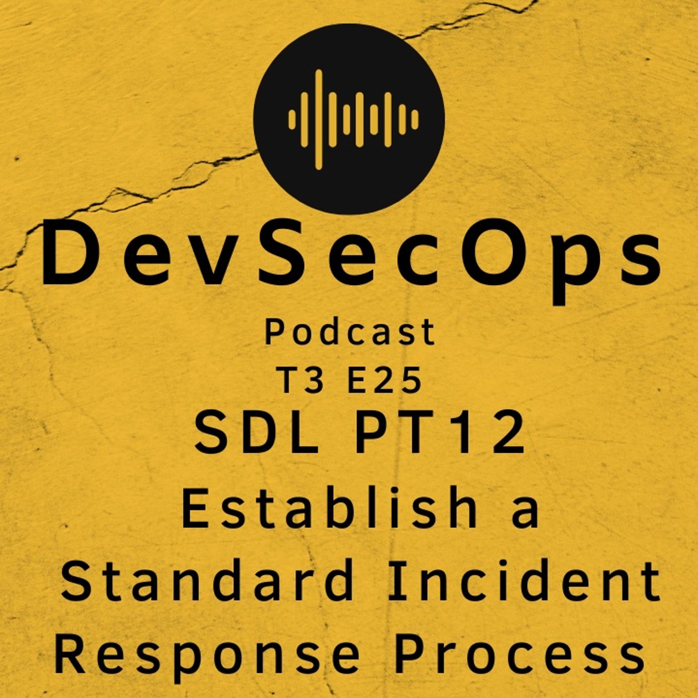#26 - SDL PT 12 - Establish a Standard Incident Response Process