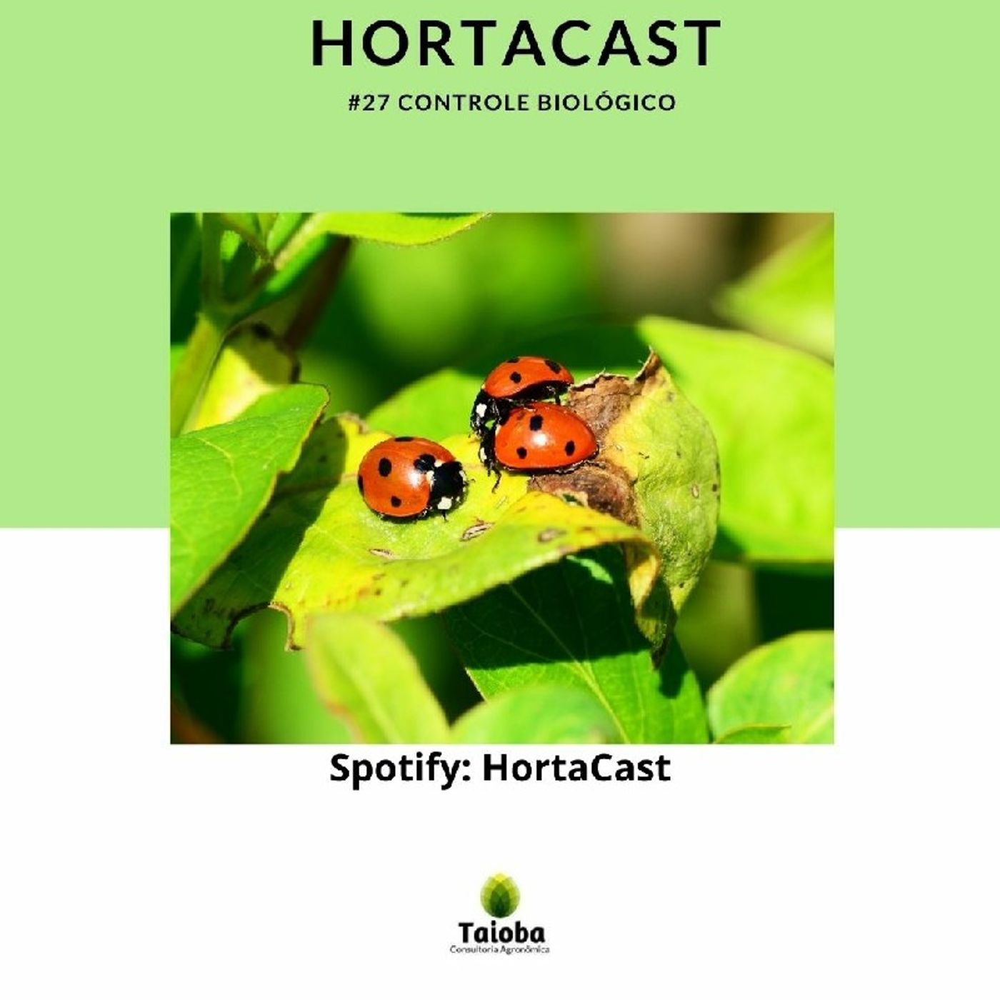HortaCast\'s show