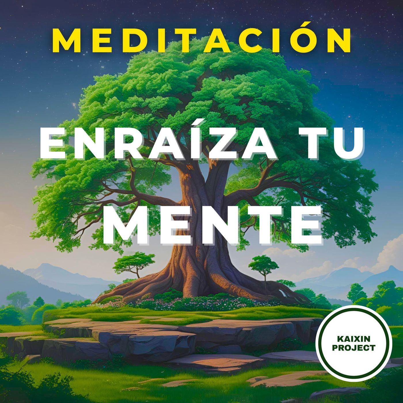 Meditacion y Mindfulness - KAIXIN PROJECT -