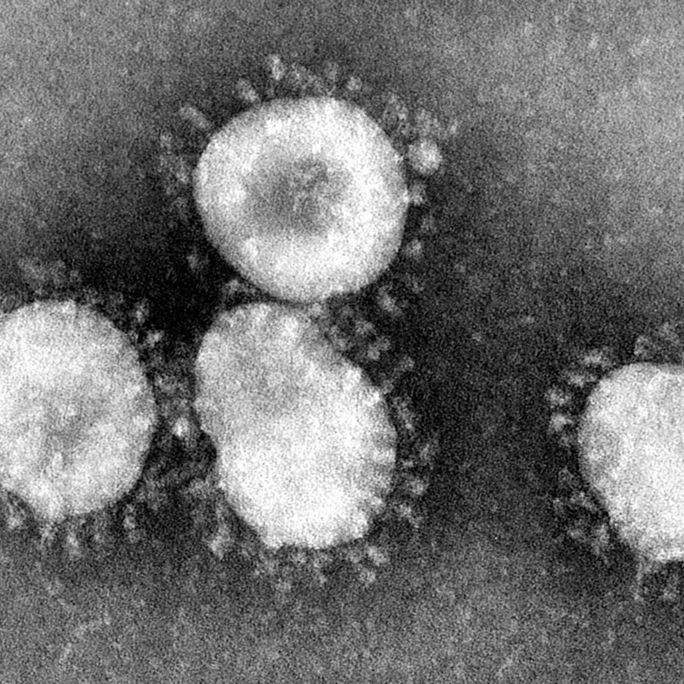 Coronavirus on the way episode artwork