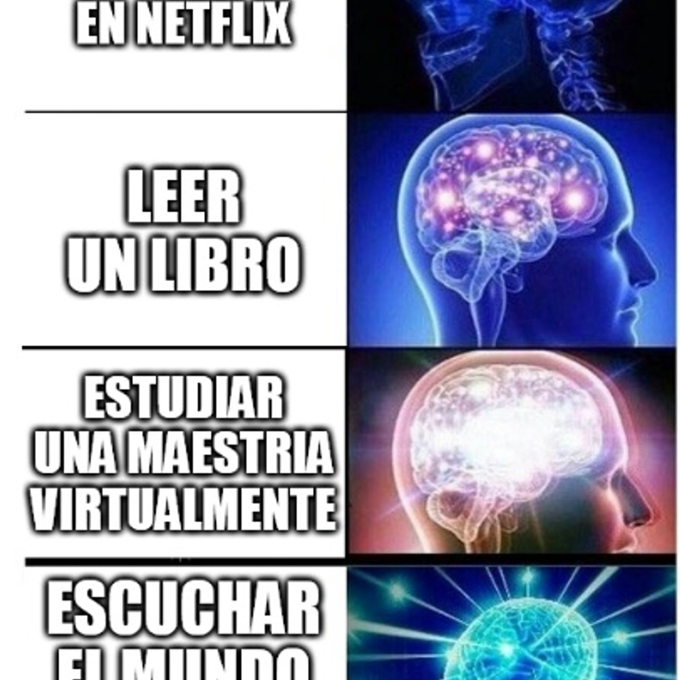 La Bodega (Episodios pasados)