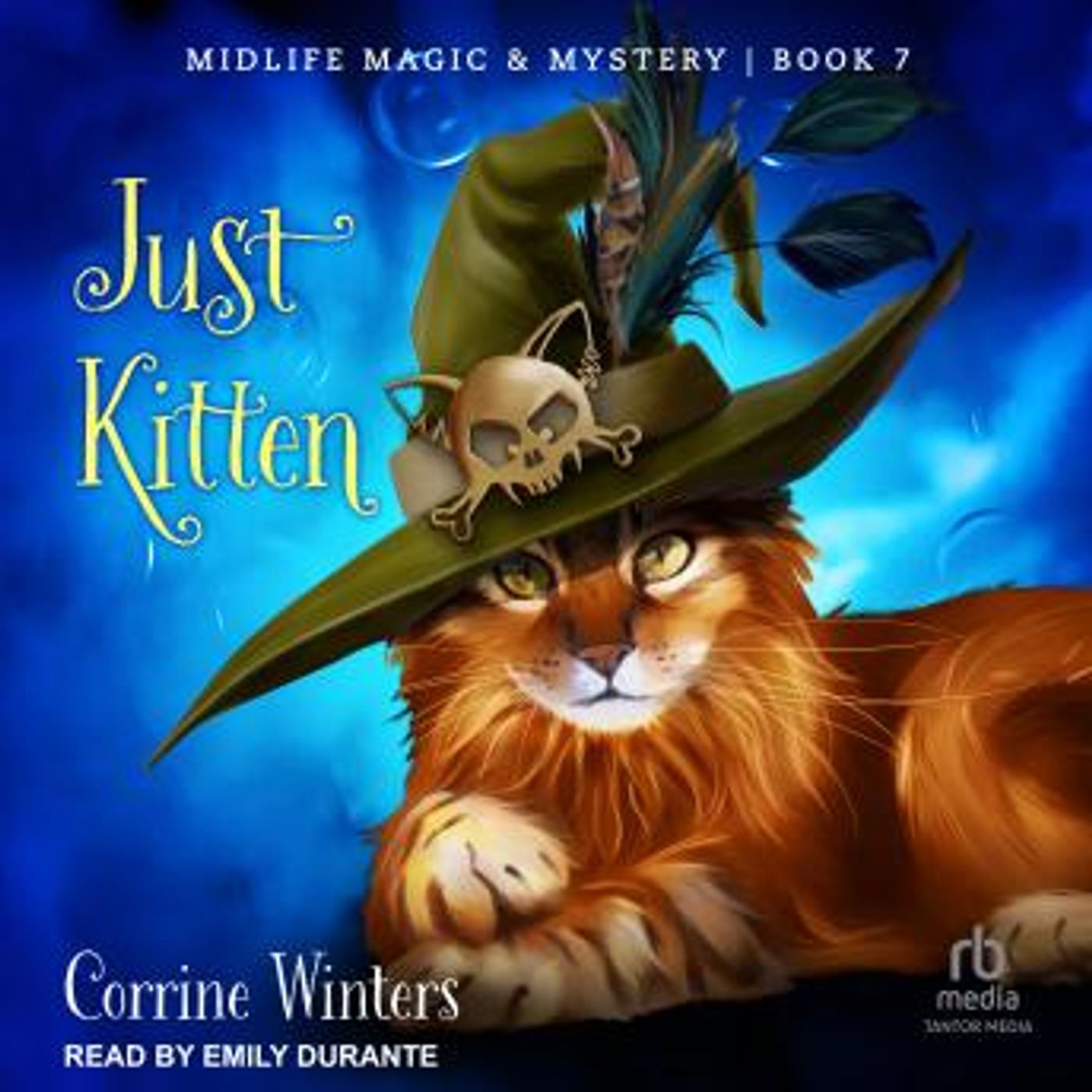 Stream Popular Full Audiobooks in Mystery, Thriller & Horror, Police & Detective