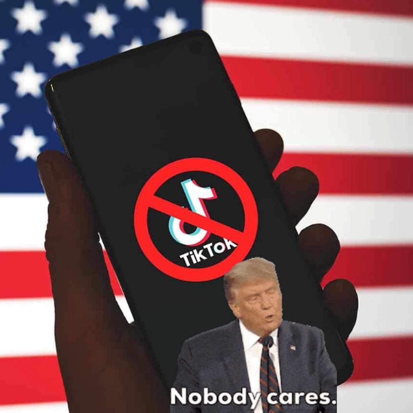 MAKE TIK TOK GREAT AGAIN!!! ( MAGA DEAL)!?!