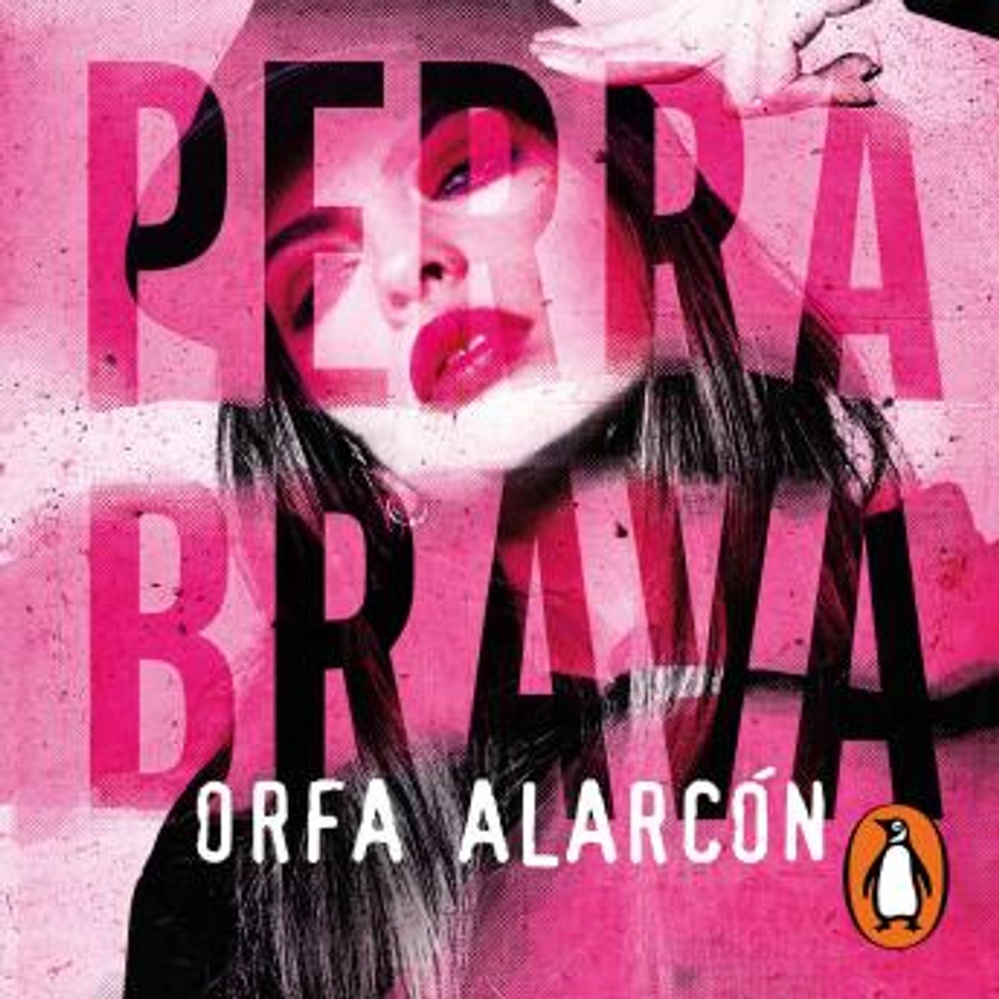 Grab the Essential Full Audiobooks in Fiction, Contemporary Women