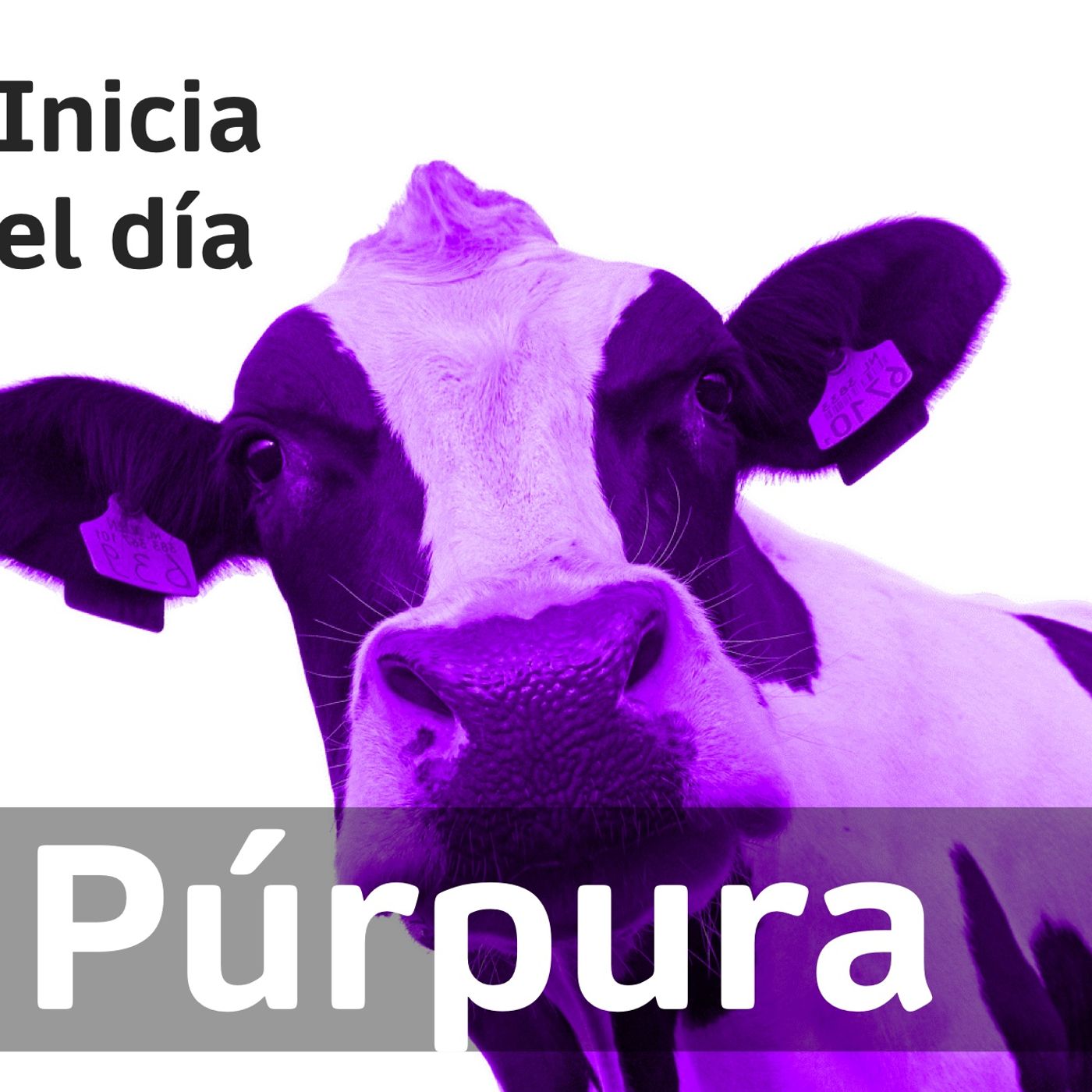 Cambios y Resiliencia podcast