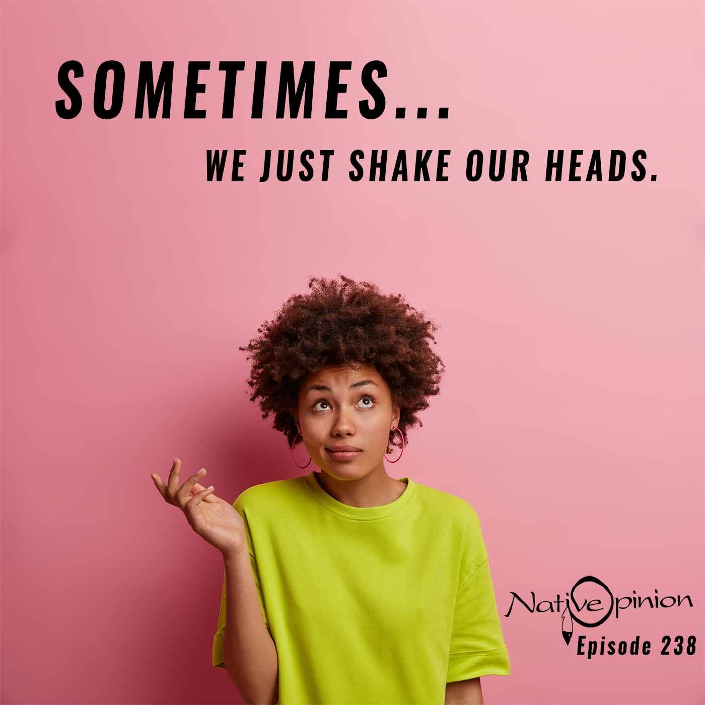 Episode 238 "Sometimes We Just Shake Our Heads" - podcast episode cover