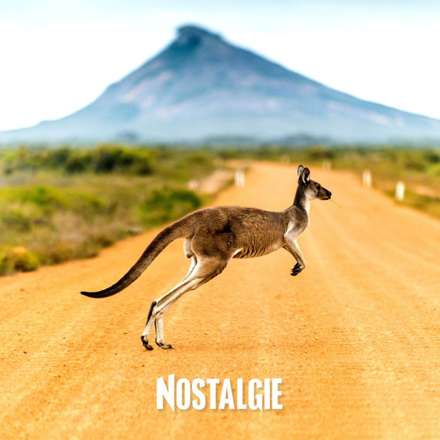 Comment l'Australie s'intéresse-t-elle à la santé intestinale de sa population ? episode artwork
