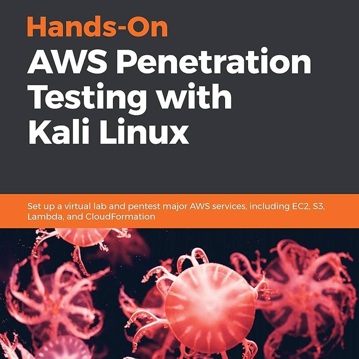 Hands-On AWS Penetration Testing with Kali Linux: Set up a virtual lab and pentest major AWS services, including EC2, S3, Lambda