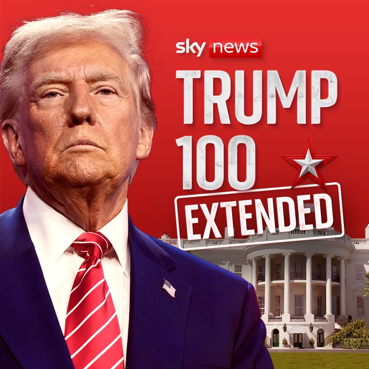 TRUMP100 artwork