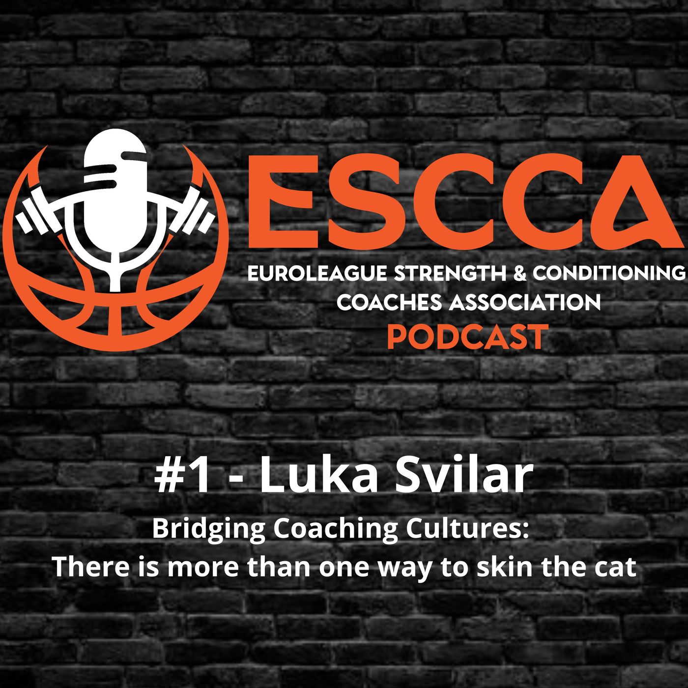 #1 - Luka Svilar - Bridging Coaching Cultures: There is more than one way to skin the cat