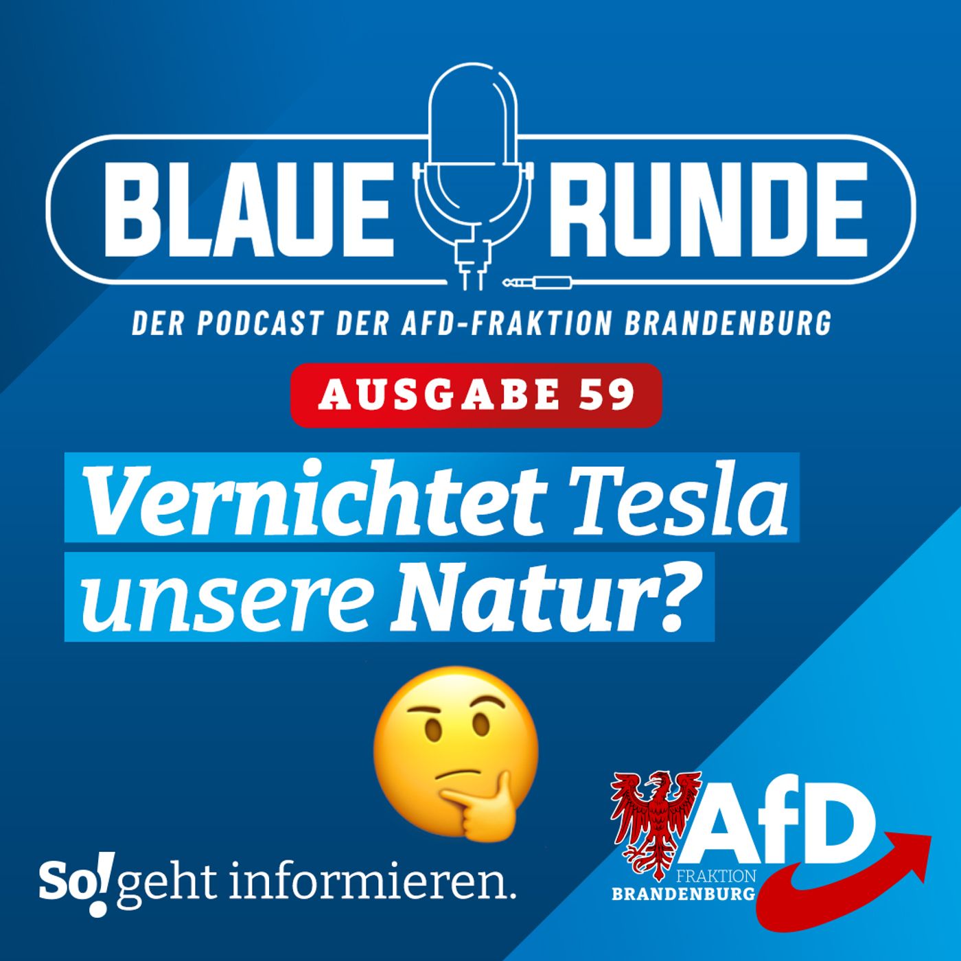 Vernichtet Tesla unsere Natur? | Die Blaue Runde, Ausgabe 59/23 vom 19. Juni 2023 episode artwork