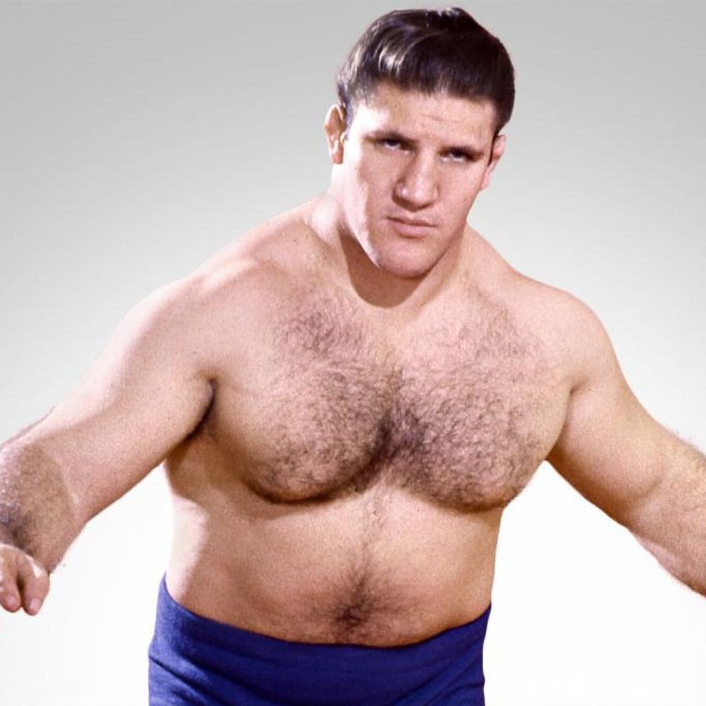 Wrestling Shoot Interviews and stories