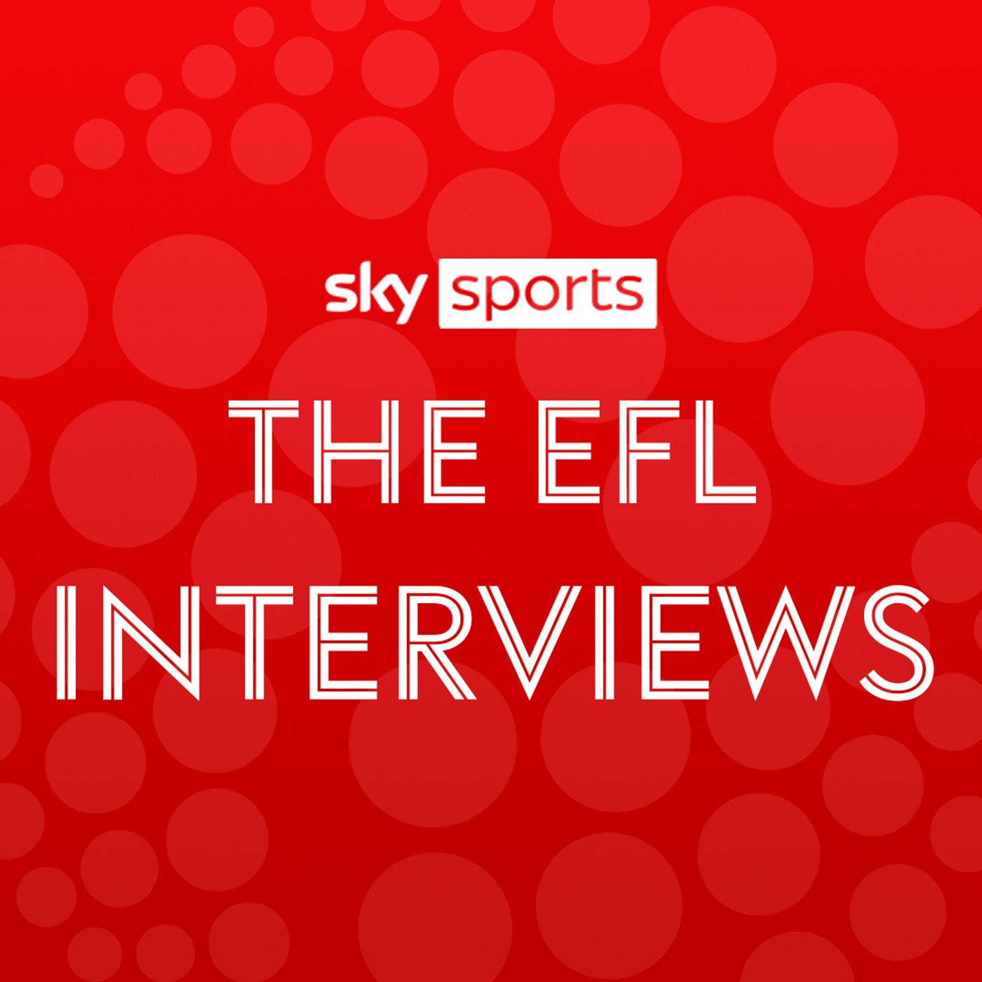 The EFL Interviews: A hat-trick of managers with Sunderland's Le Bris, Wrexham's Parkinson and Lincoln's Skubala