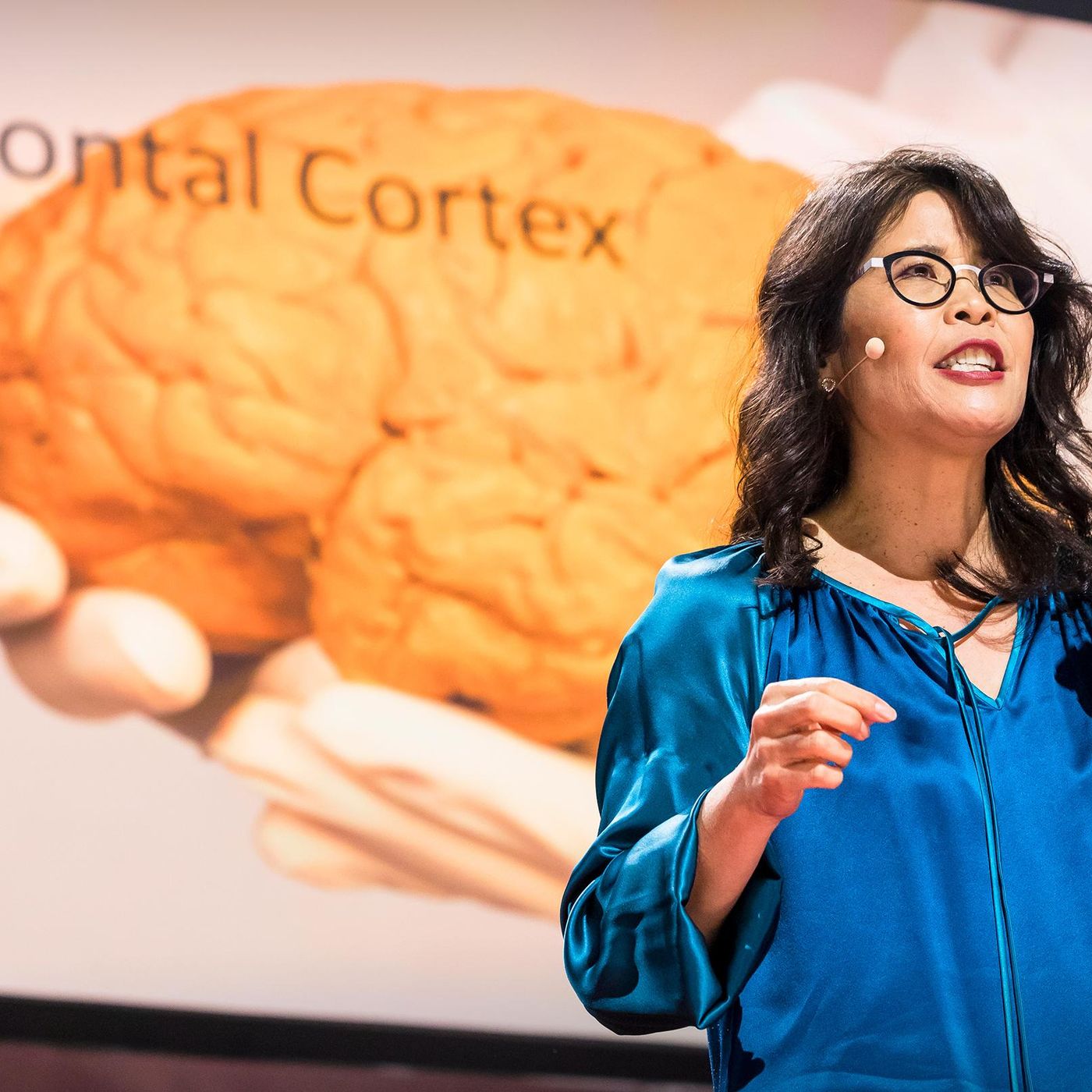TED Talks