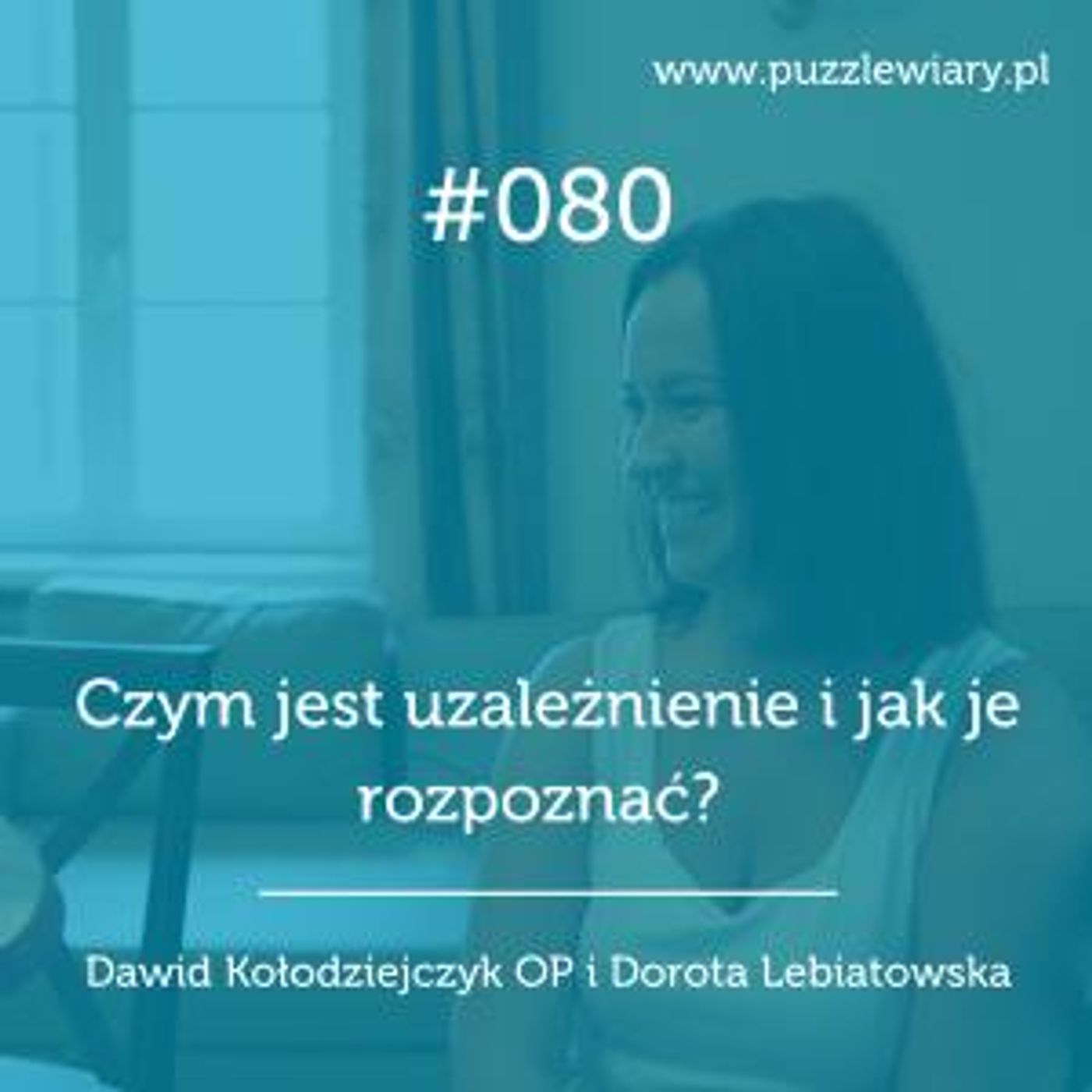 Puzzle Wiary
