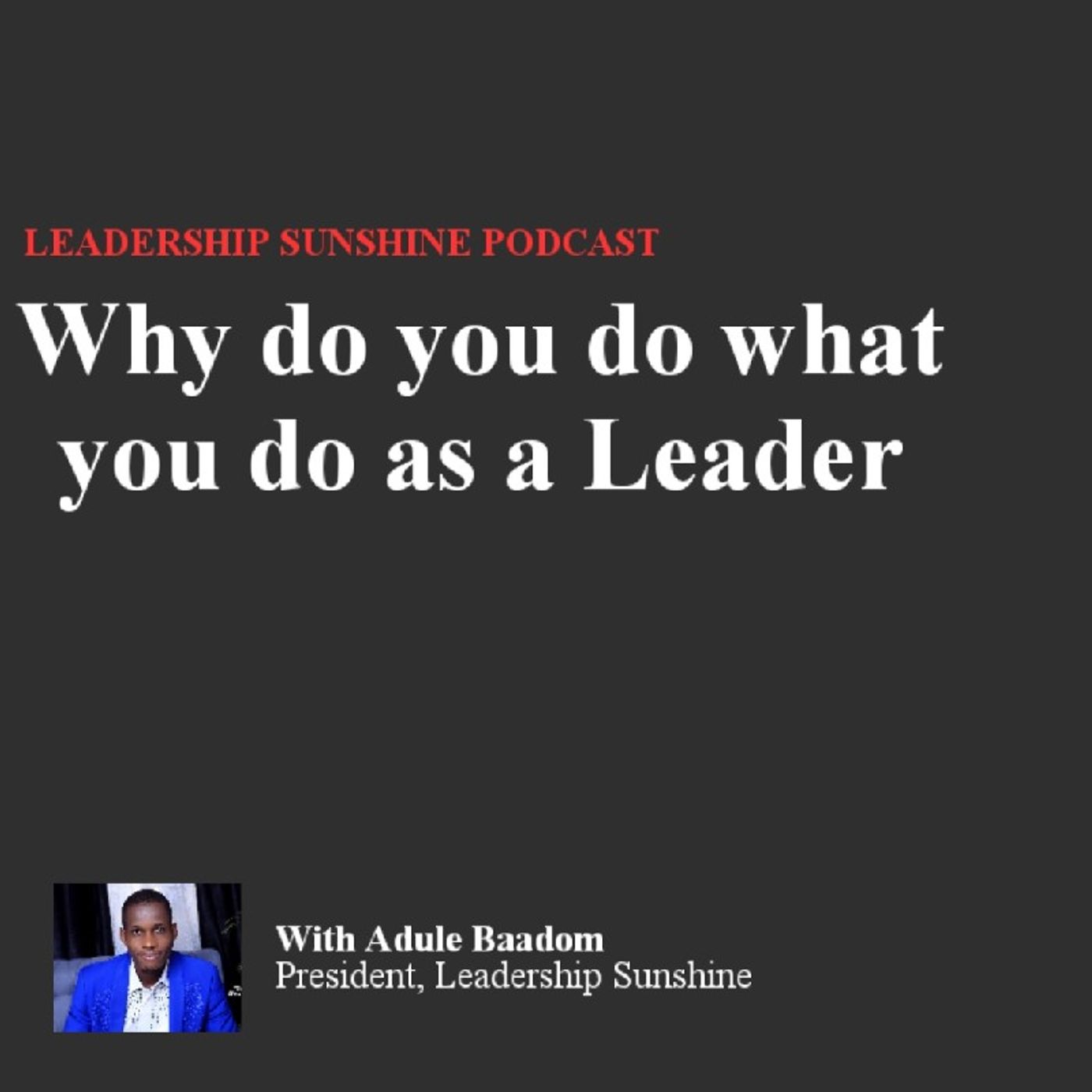 Why do You do What You do as a Leader episode artwork
