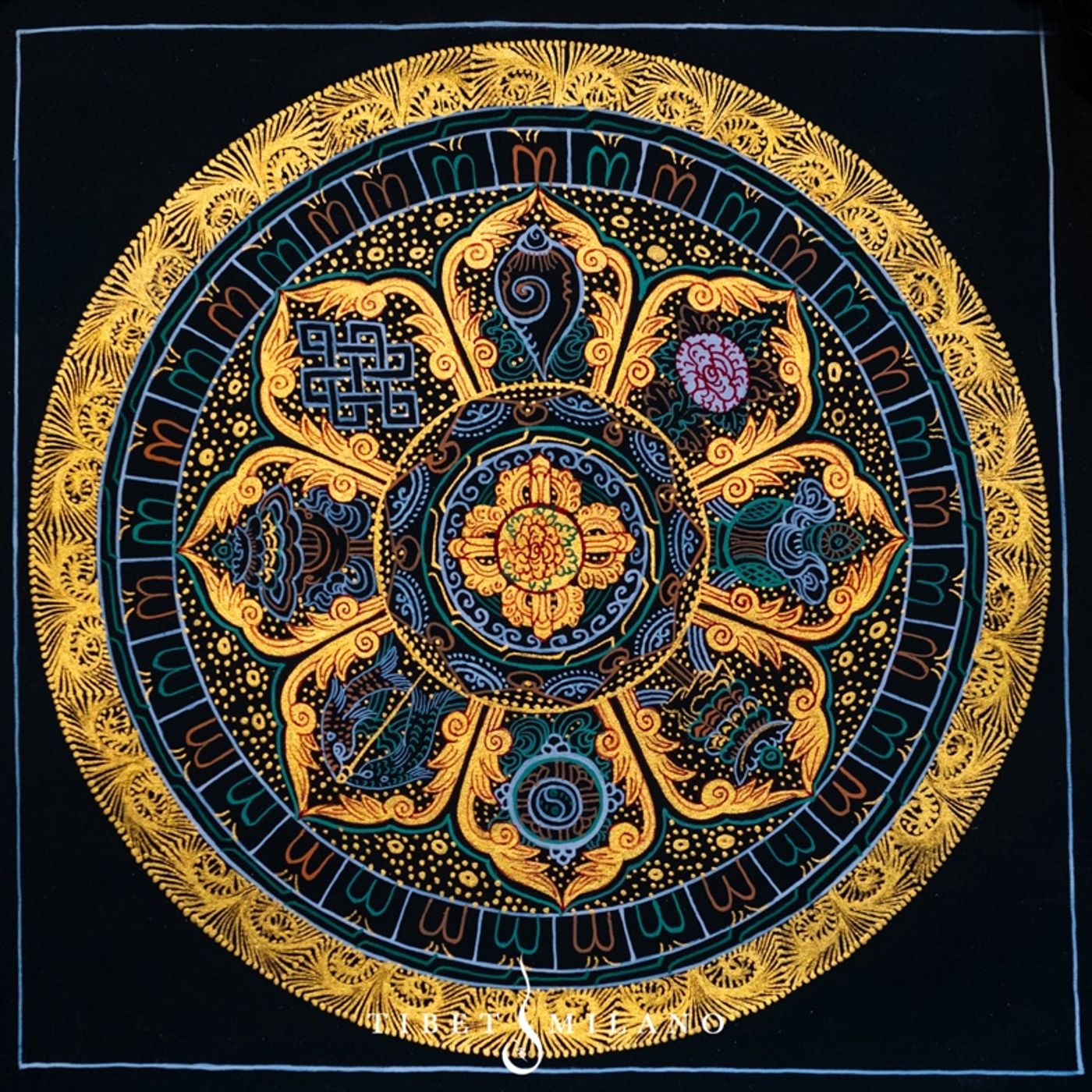 Shakti Power Podcast