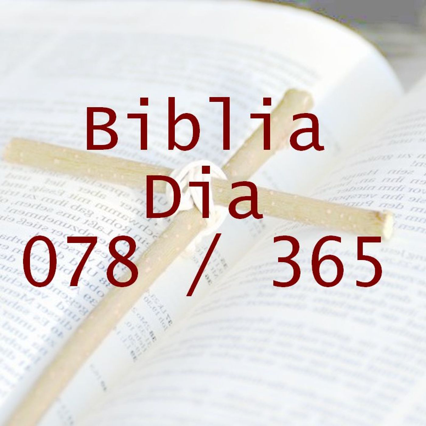 La Biblia en 365 dias