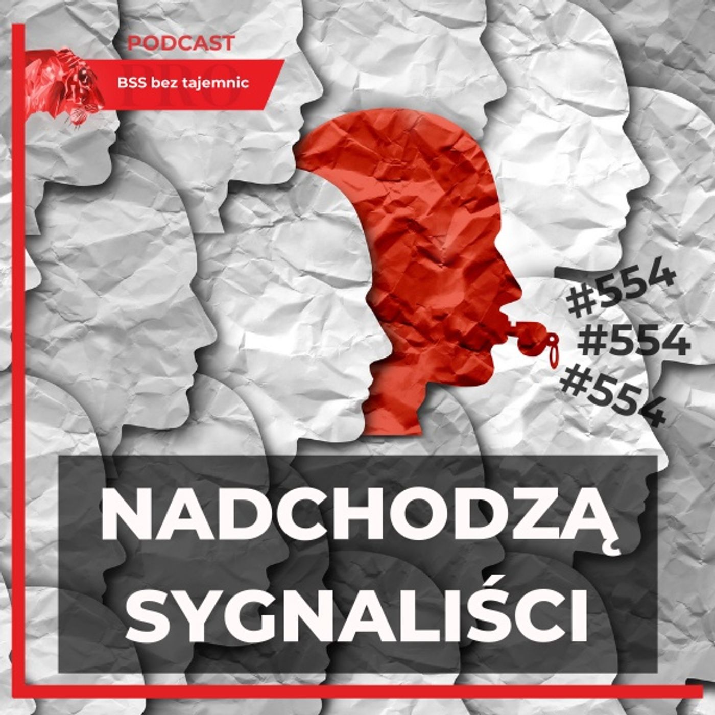 BSS bez tajemnic