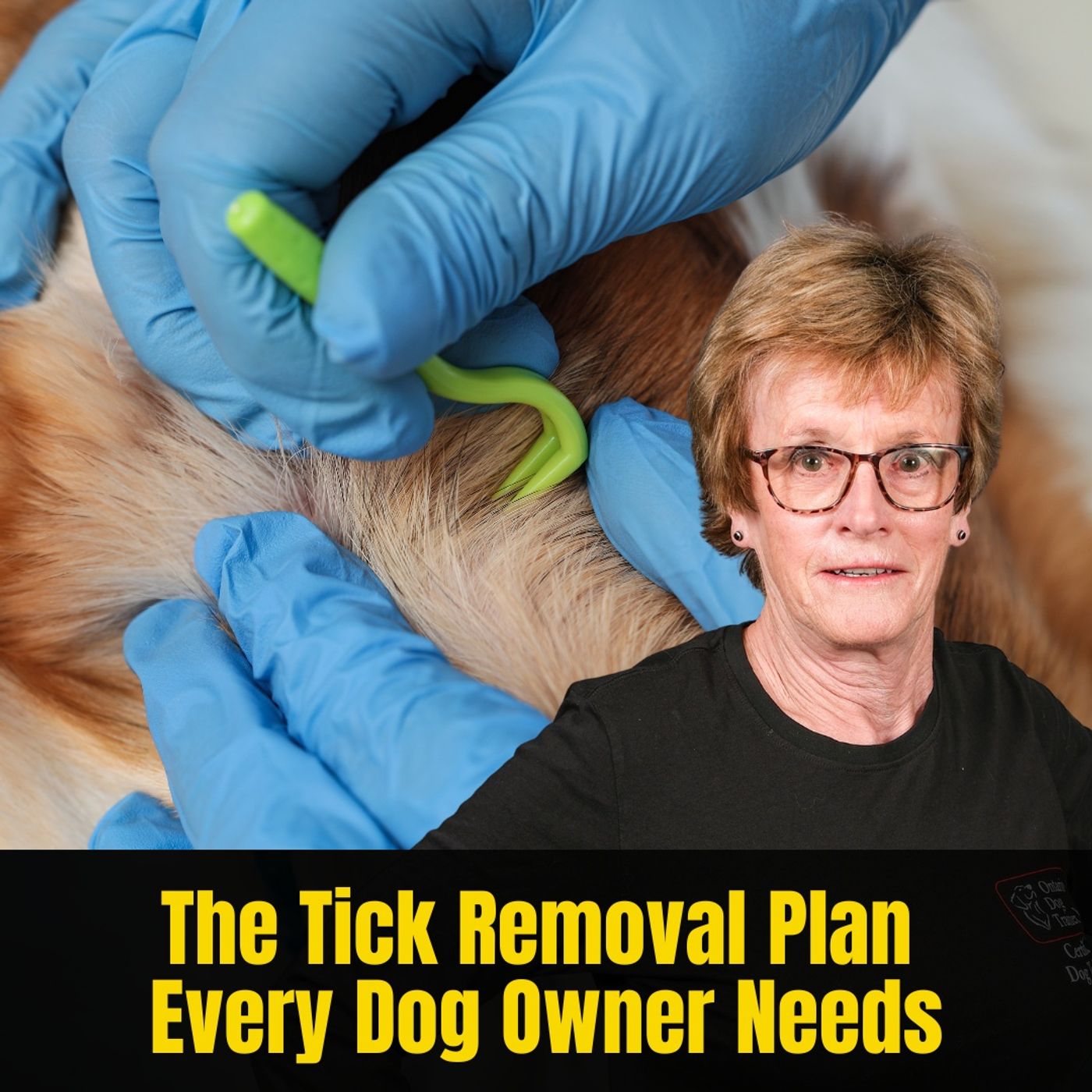 What Every Dog Owner Should Do After Finding a Tick episode artwork
