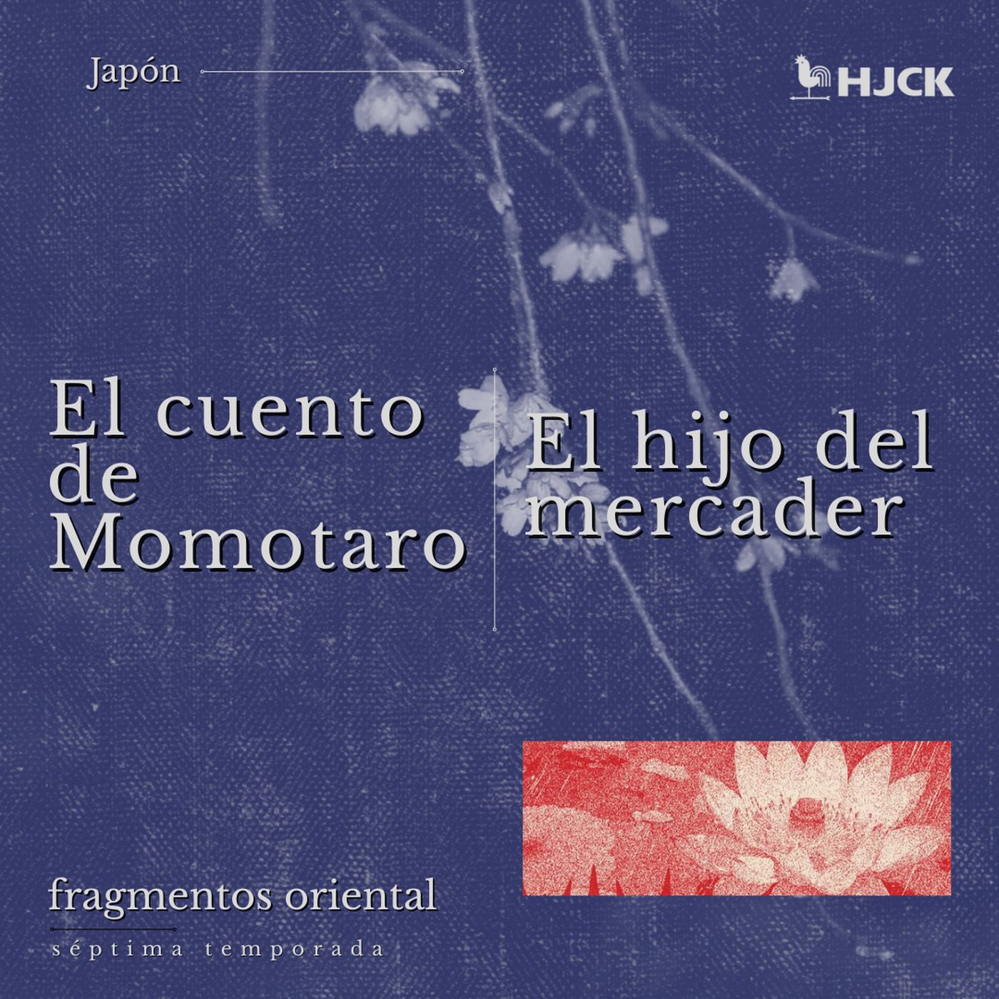 fragmentos.