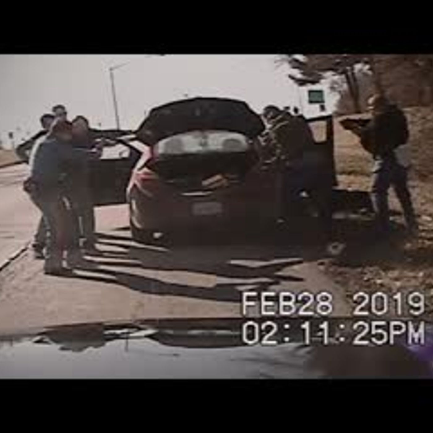 6 Most Disturbing Things Caught on Police Dashcam Footage (Vol. 2) episode artwork