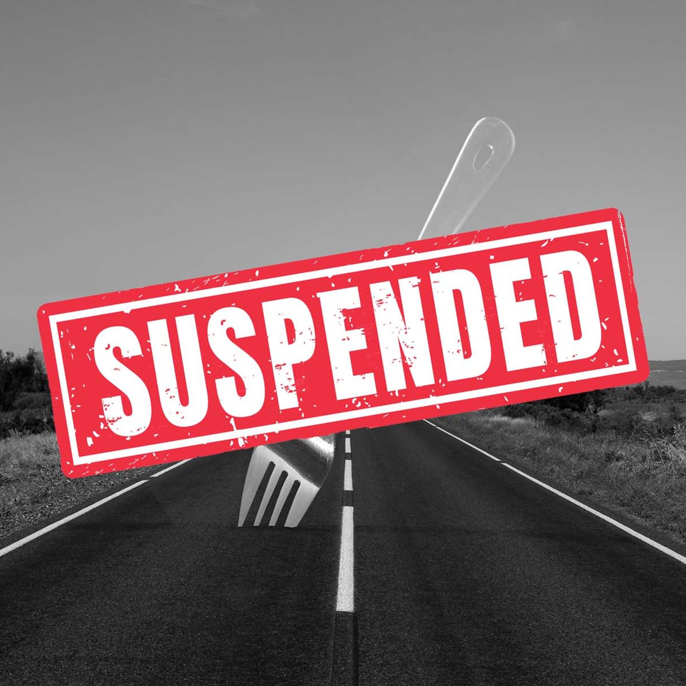 SUSPENDED FROM THE MC