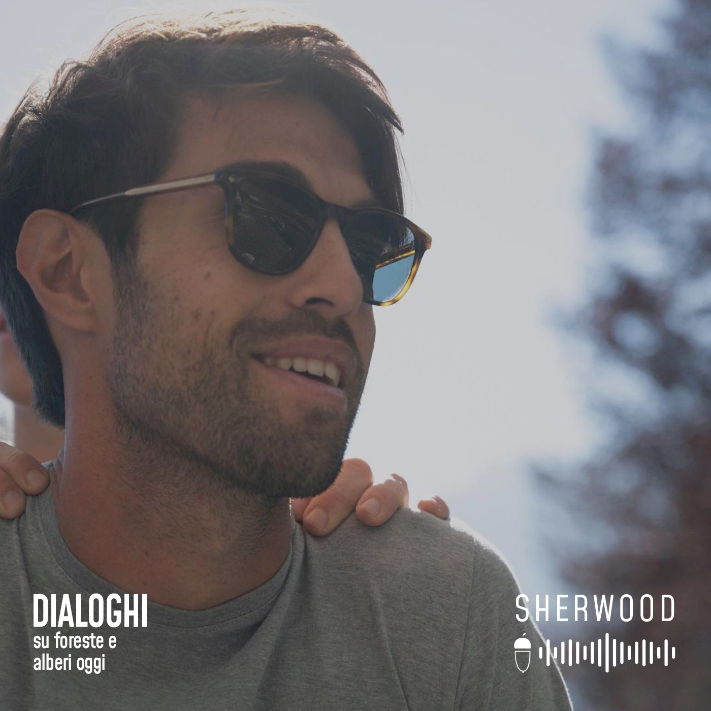 Dialoghi su foreste e alberi oggi